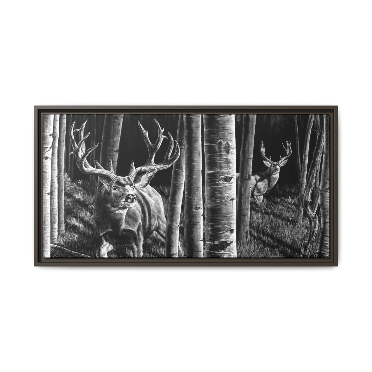 "Out of the Shadows" Framed Canvas
