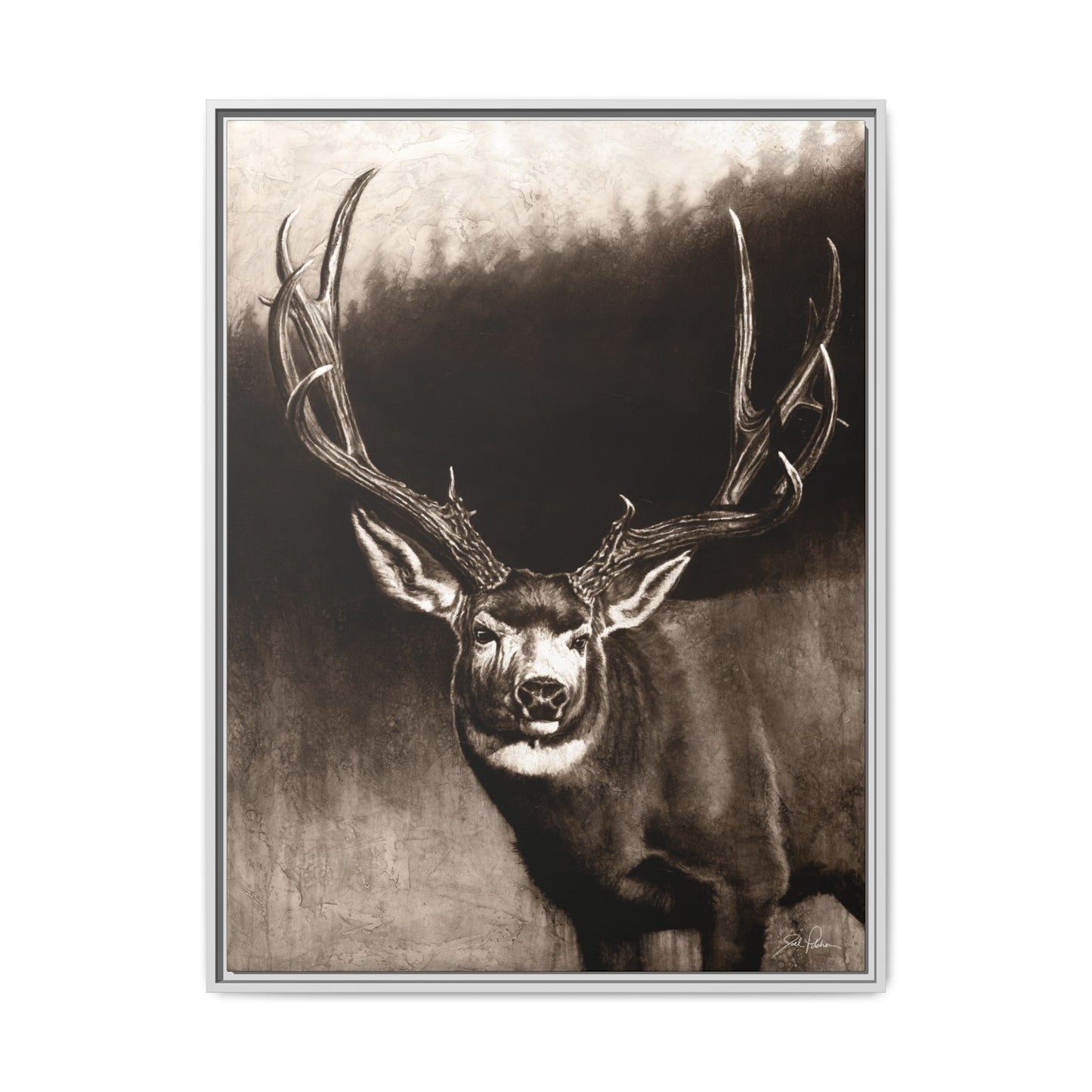 "Muley" Framed Canvas