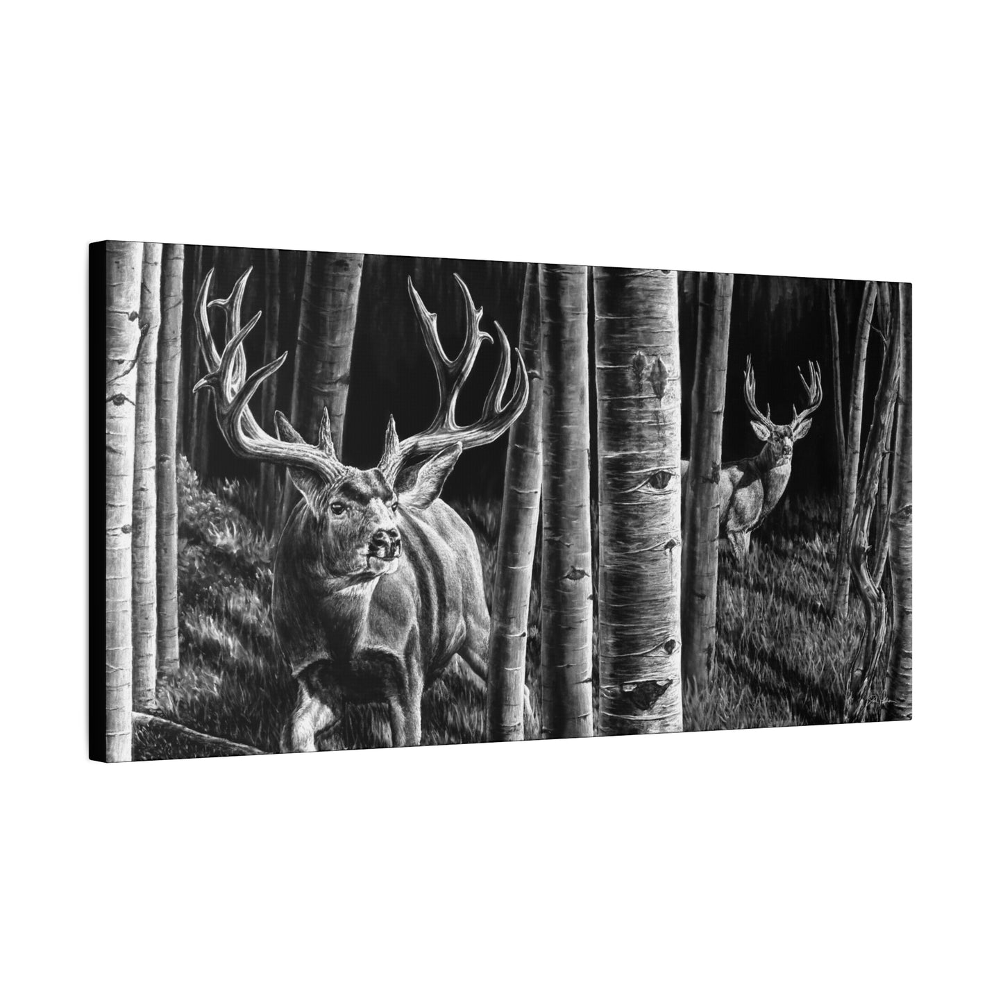 "Out of the Shadows" Stretched Canvas