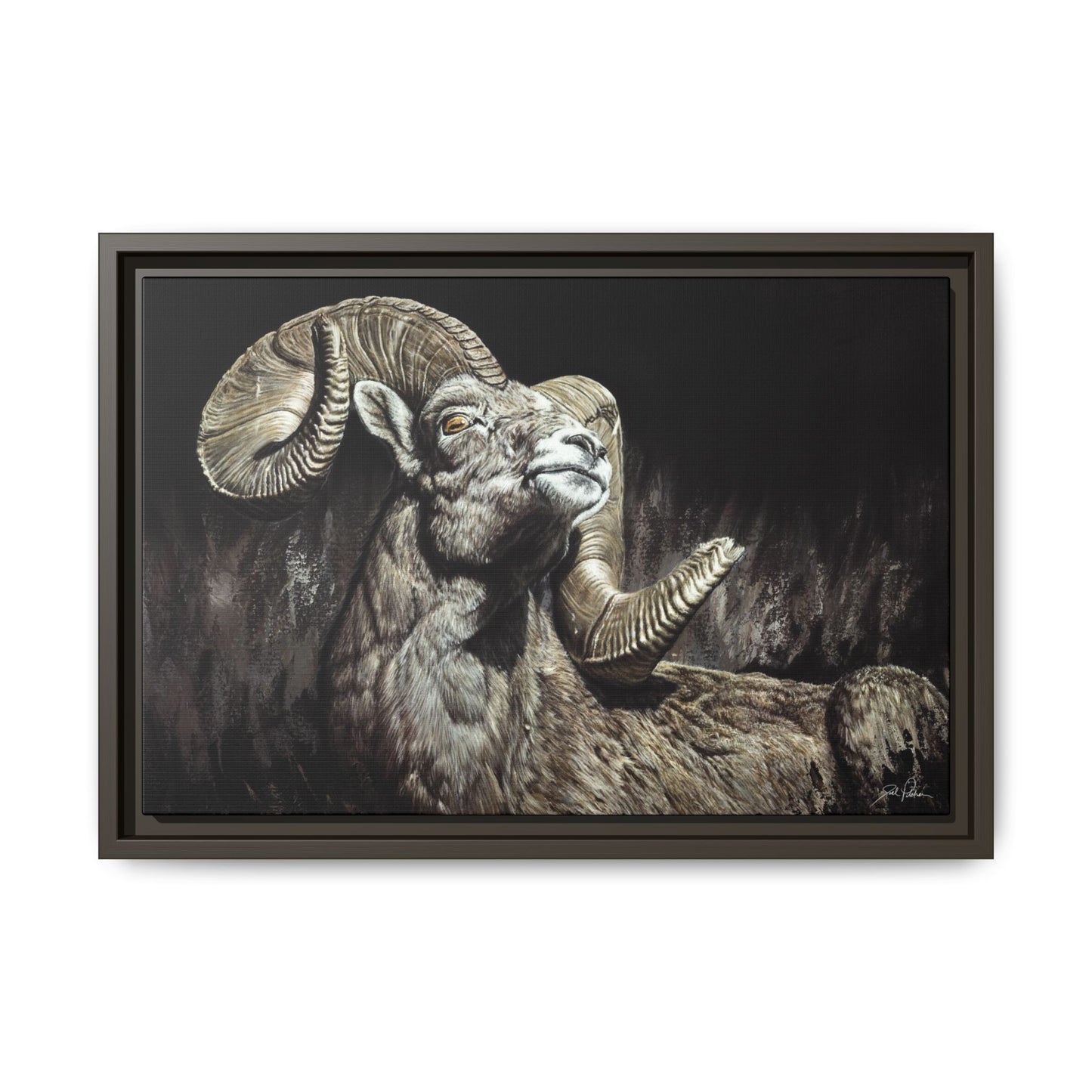 "Golden Eye" Framed Canvas