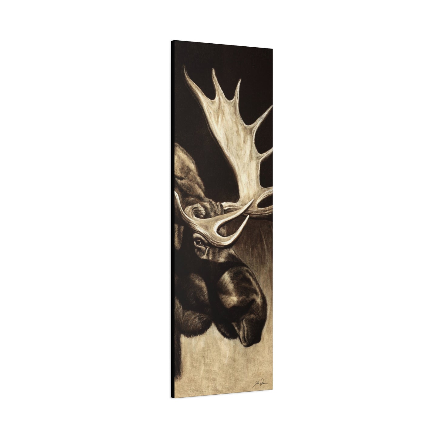 "Mighty Moose" Stretched Canvas