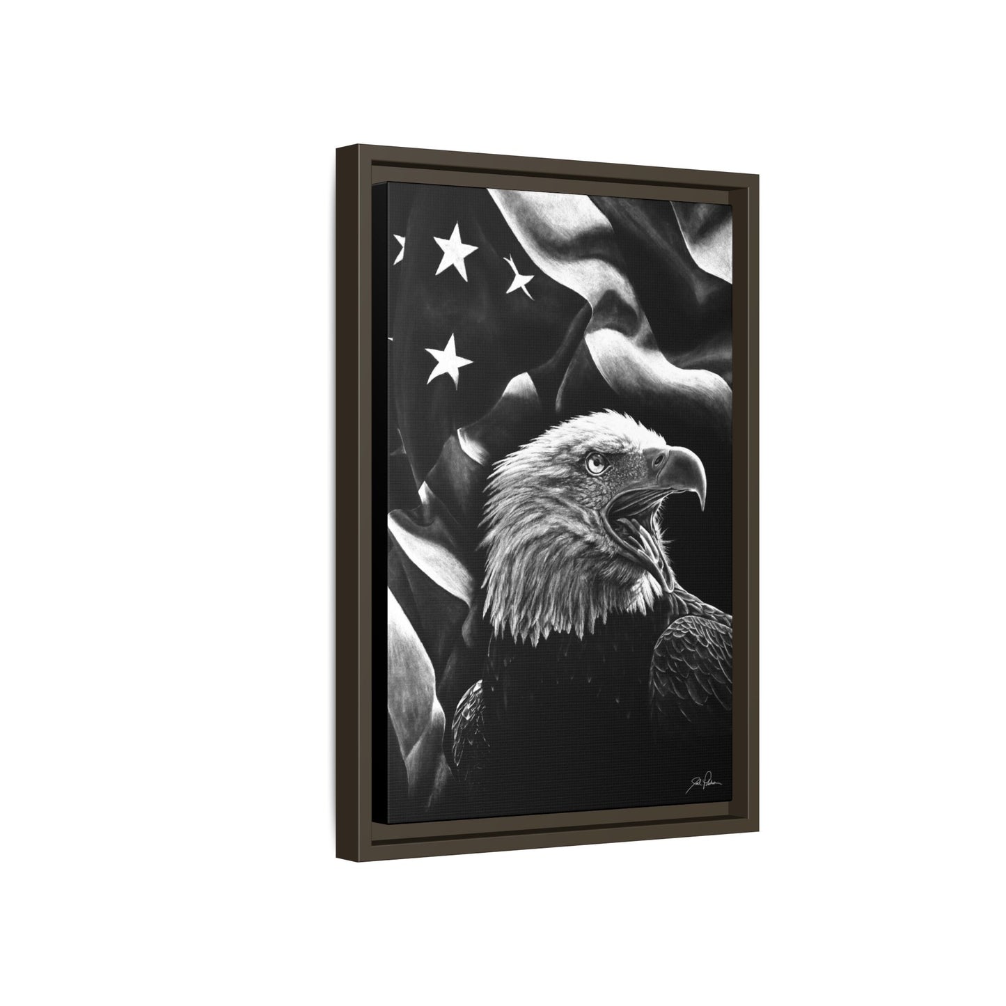 "American Eagle" Framed Canvas