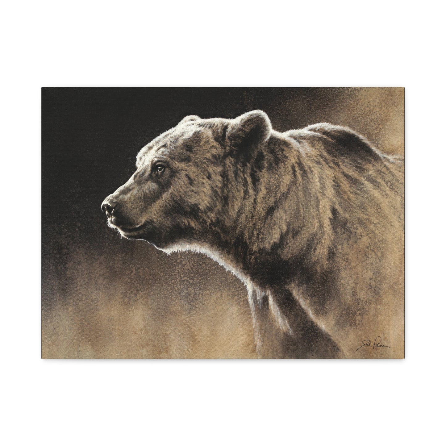"Grizzly" Stretched Canvas