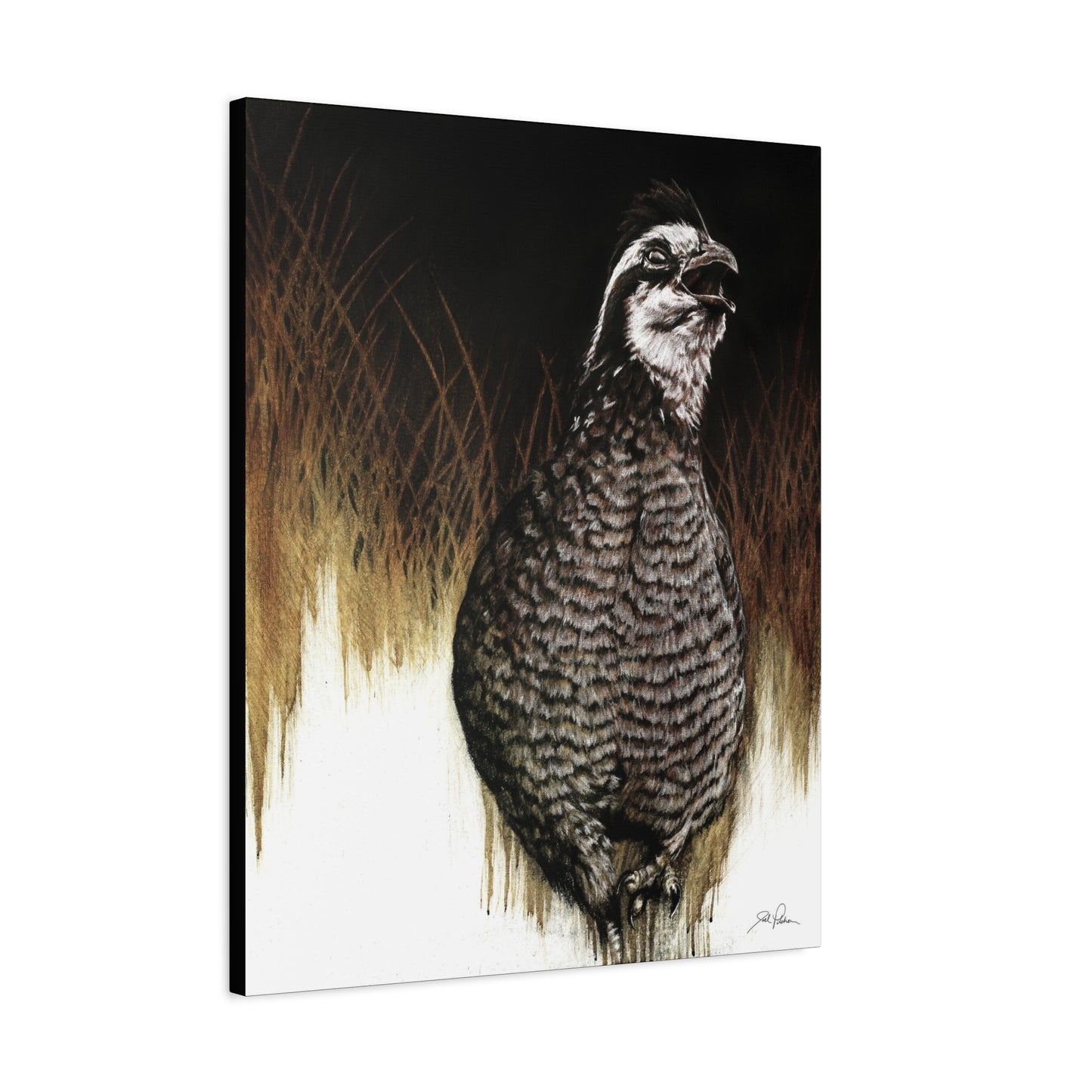 "Call of the Upland Quail" Stretched Canvas