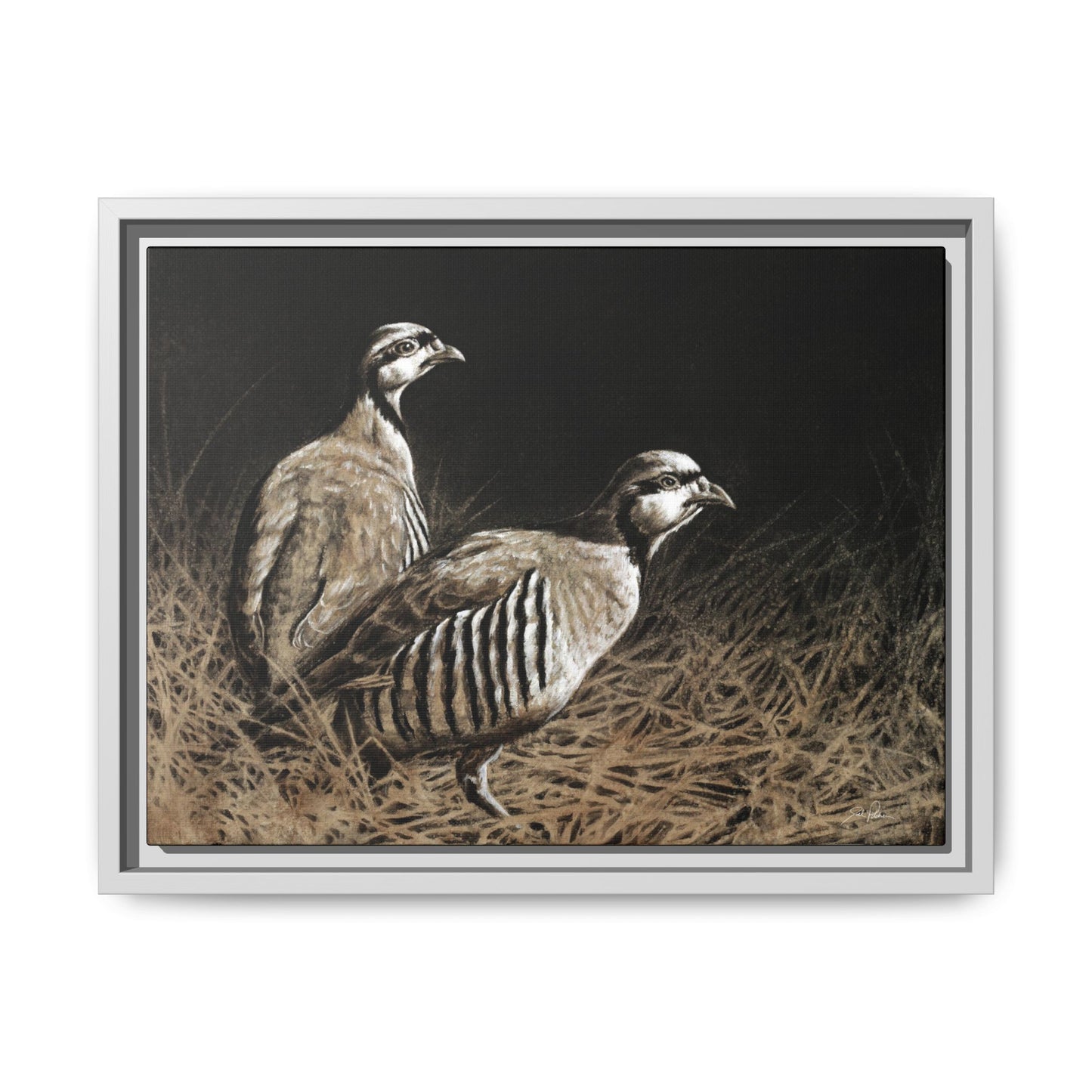 "Chukars" Framed Canvas