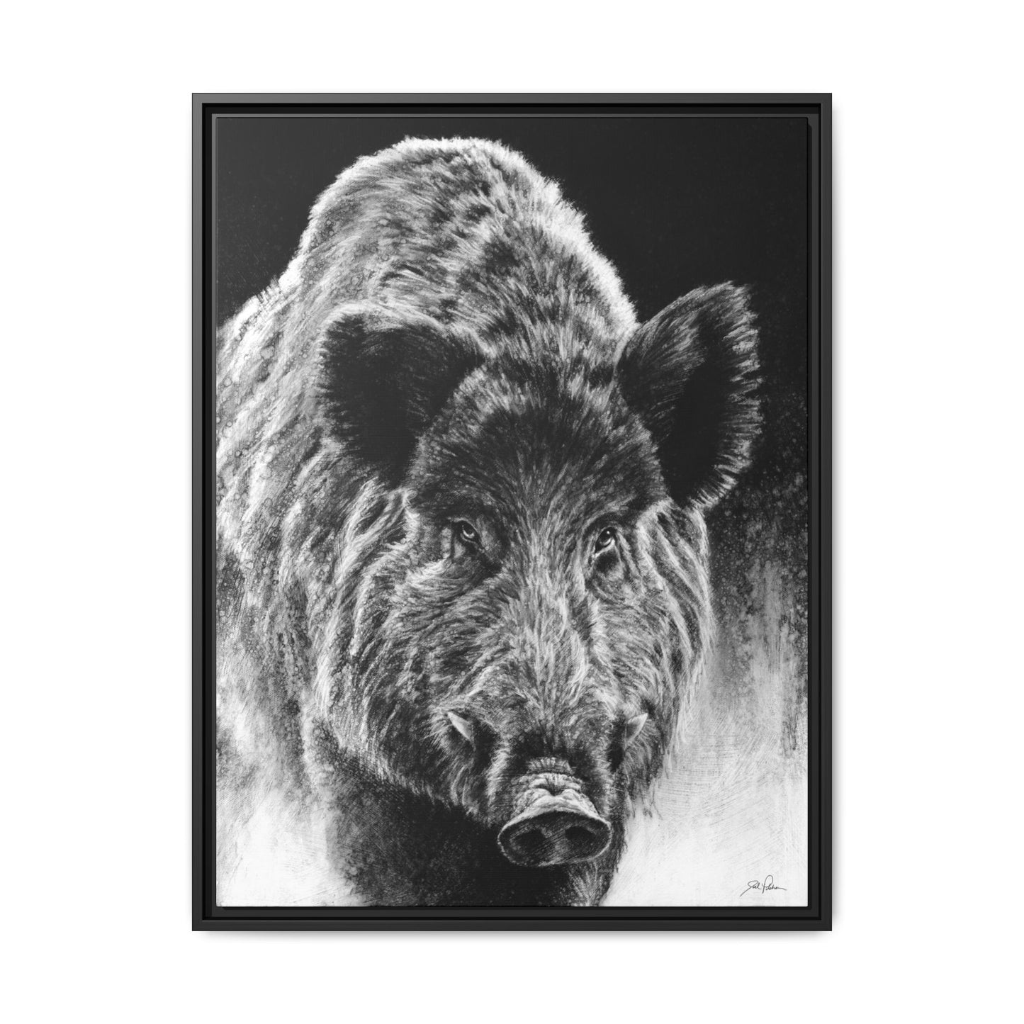 "Wild Boar" Framed Canvas