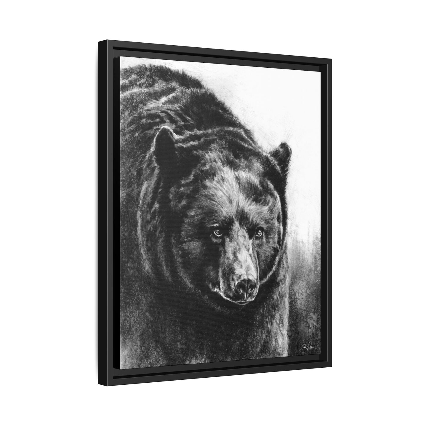 "Black Bear" Framed Canvas