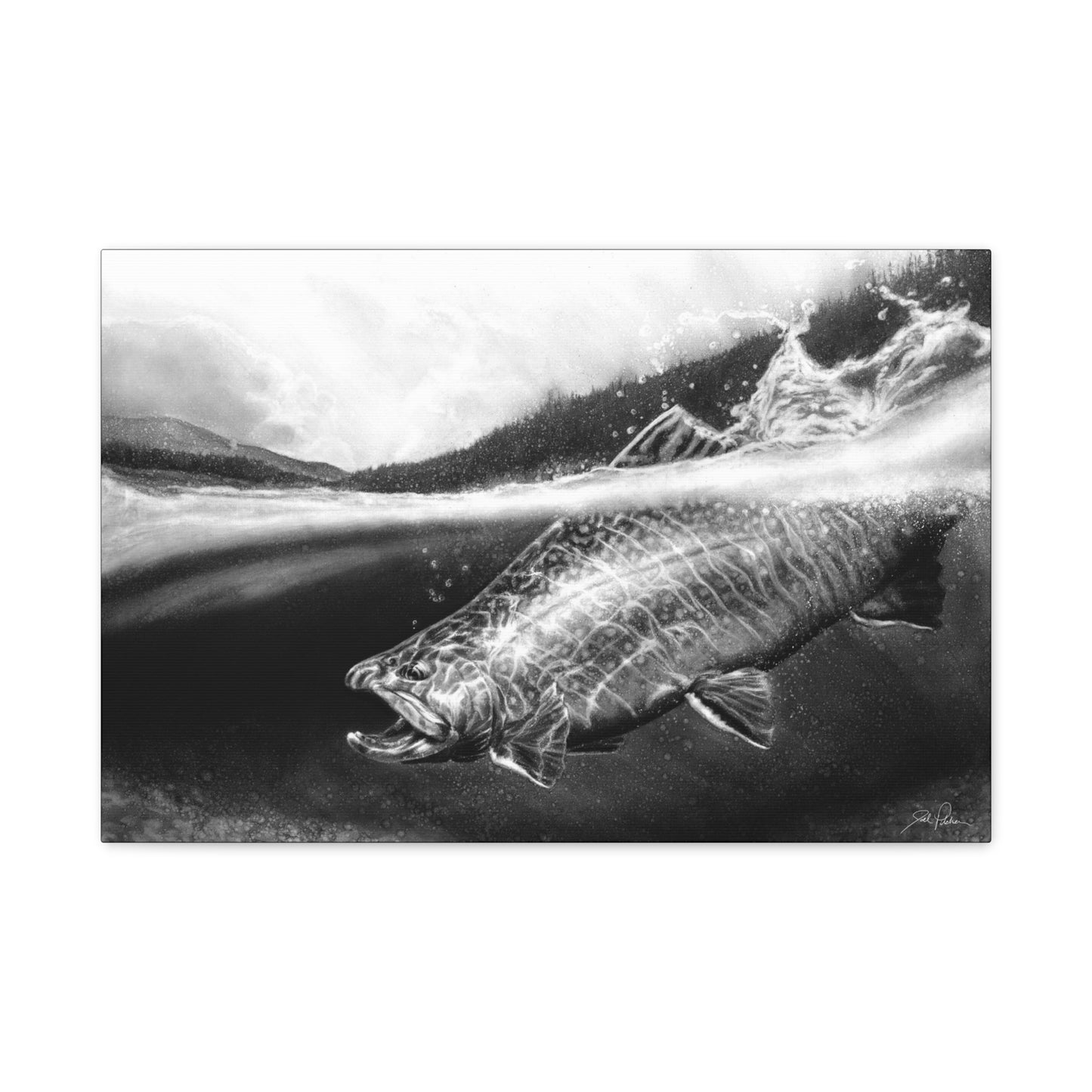 "Brook Trout" Stretched Canvas