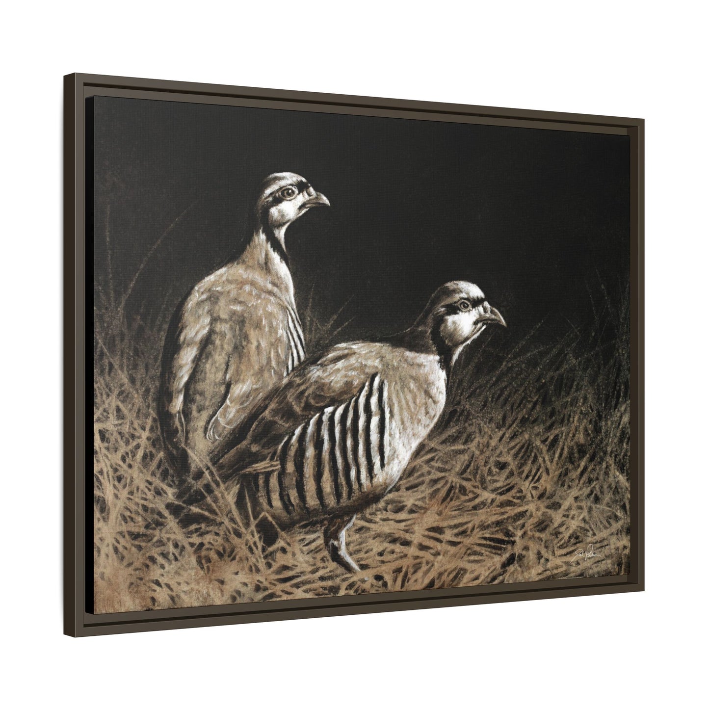 "Chukars" Framed Canvas