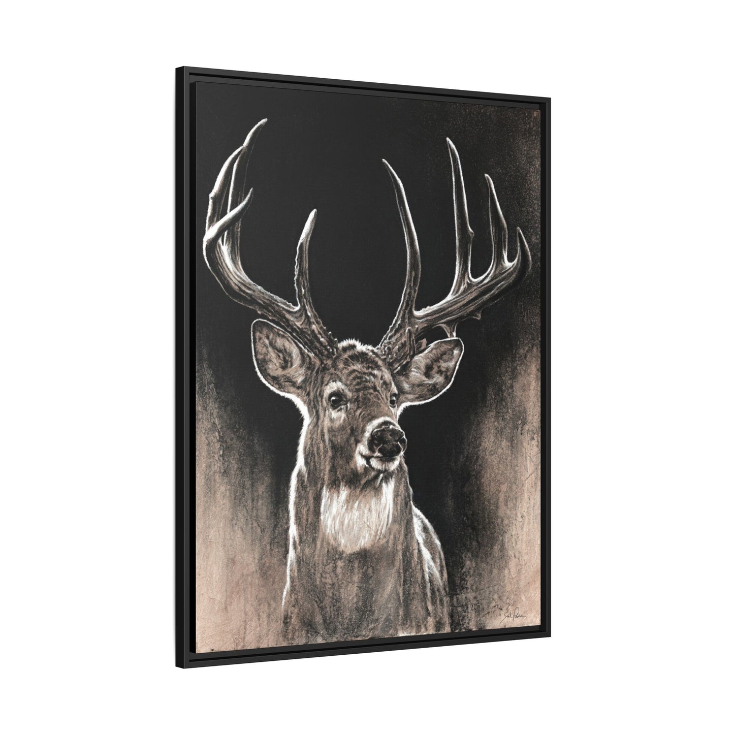 "Backlit Buck" Framed Canvas
