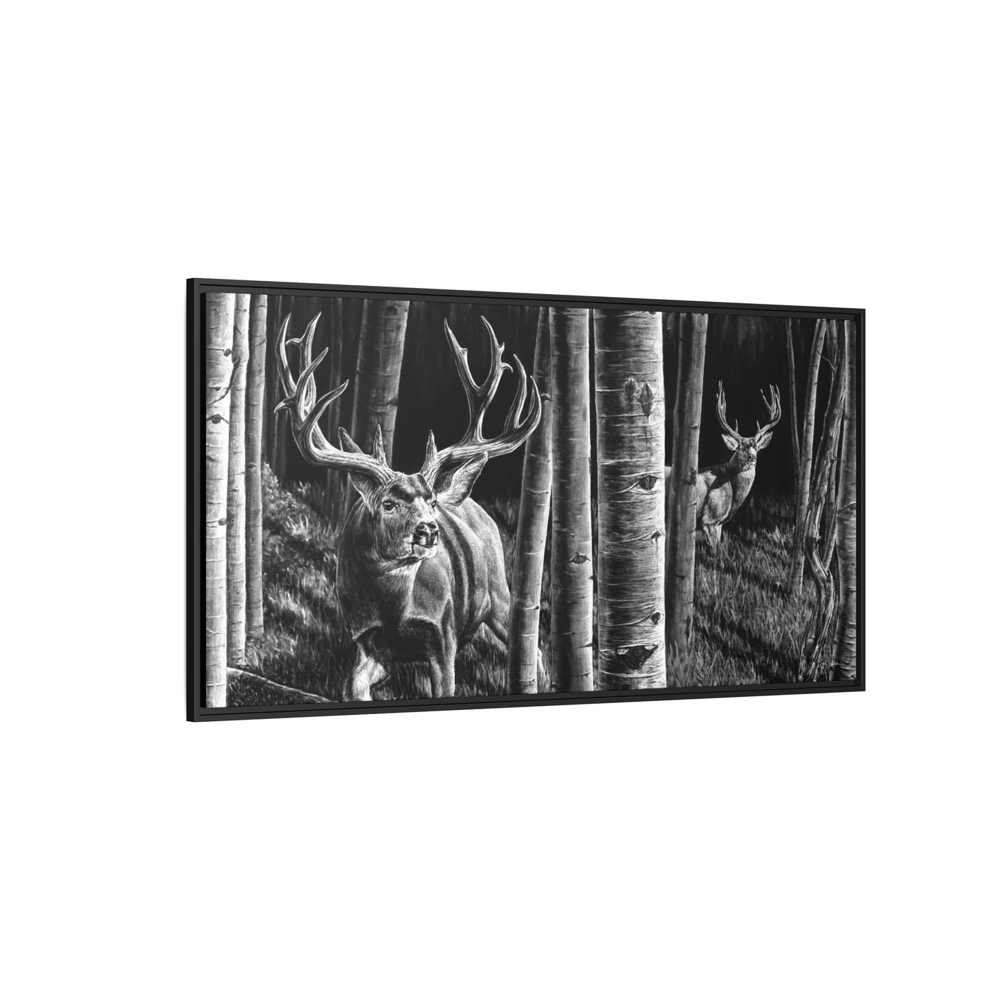 "Out of the Shadows" Framed Canvas
