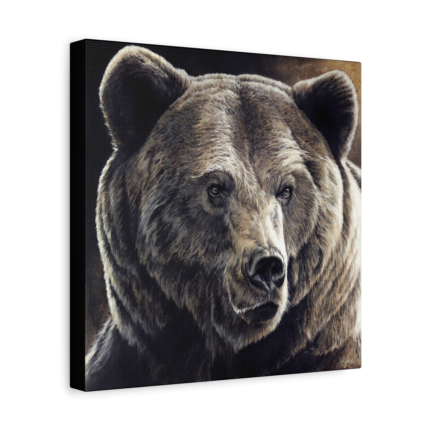"Kodiak" Stretched Canvas