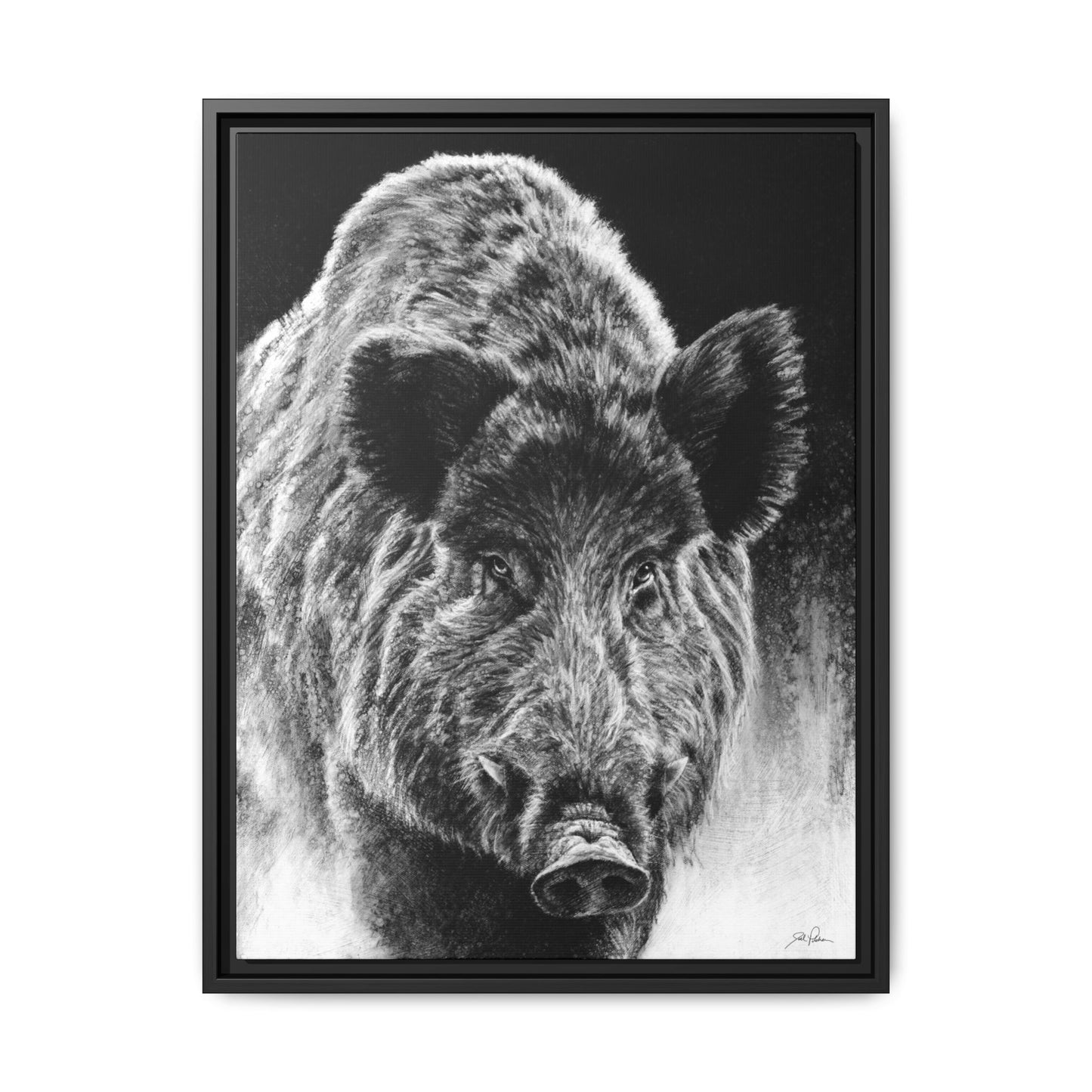 "Wild Boar" Framed Canvas