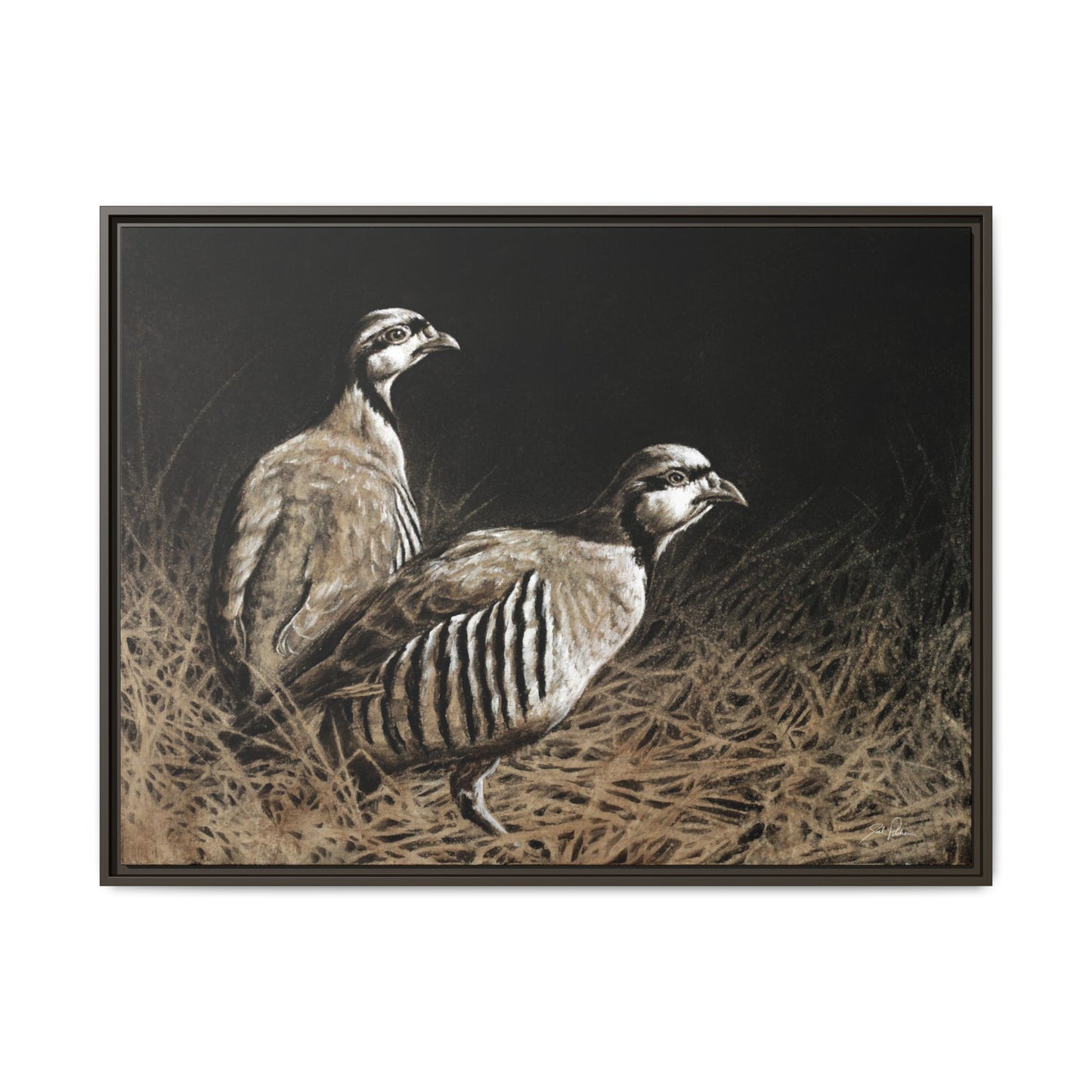 "Chukars" Framed Canvas