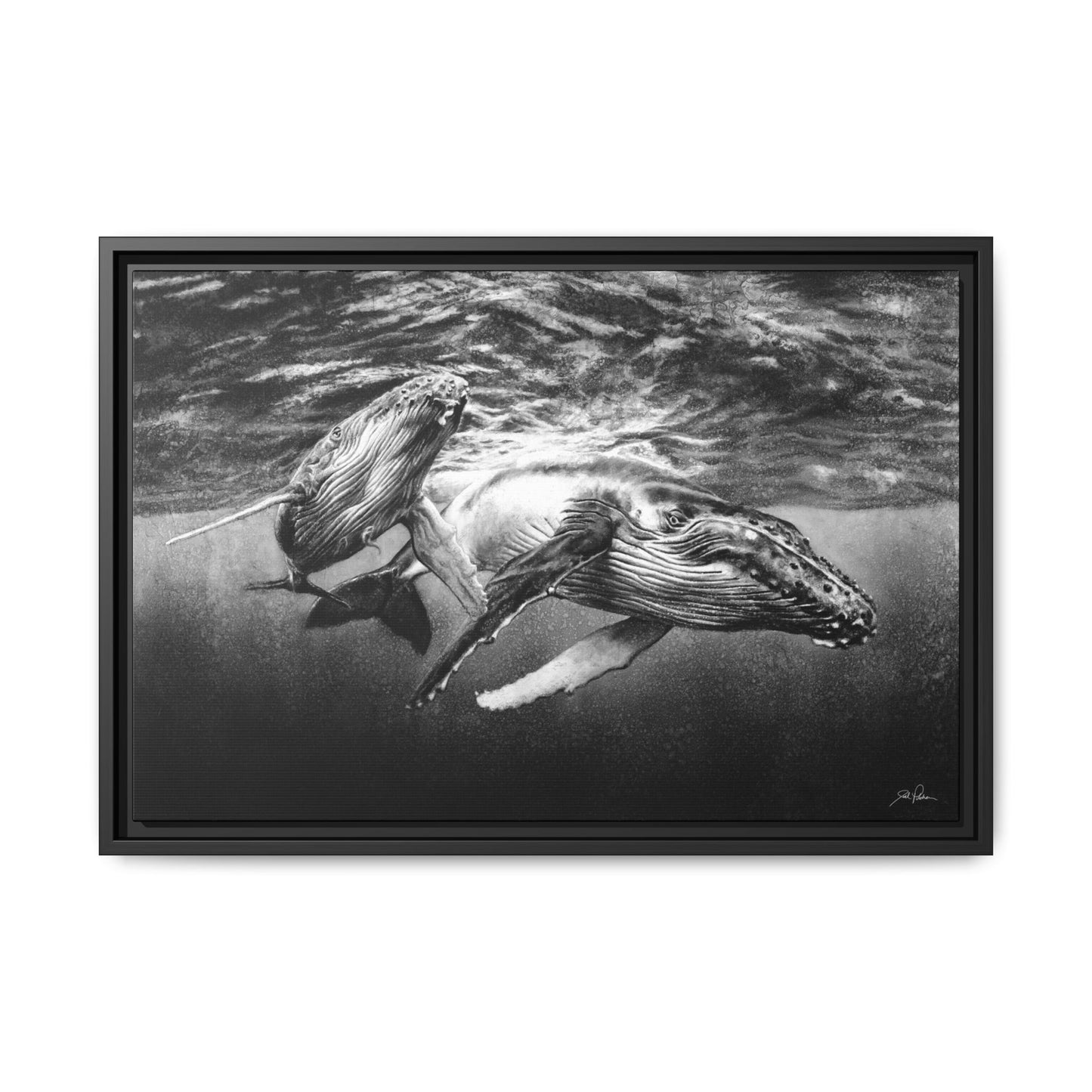 "Humpback Whales" Framed Canvas