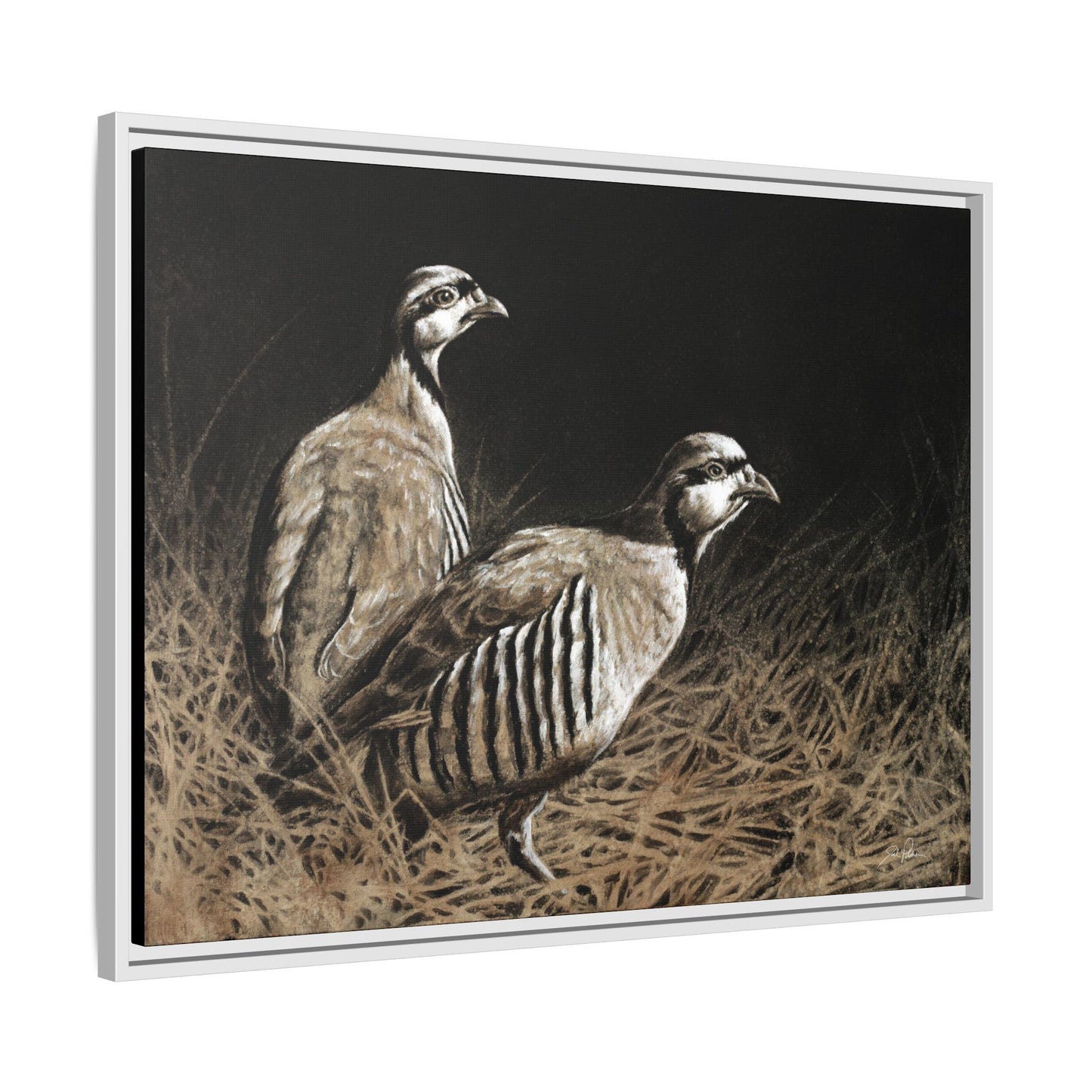 "Chukars" Framed Canvas