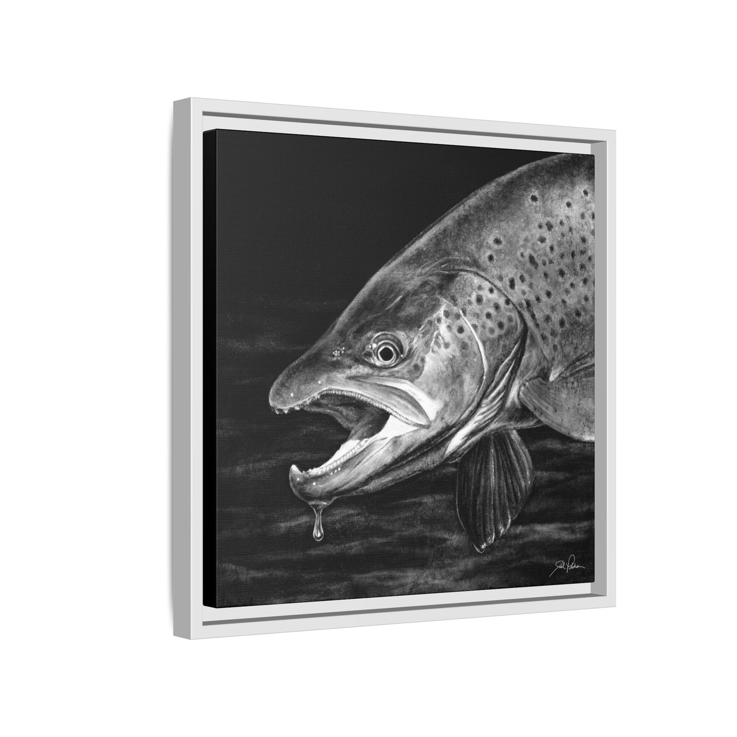"Brown Trout" Framed Canvas