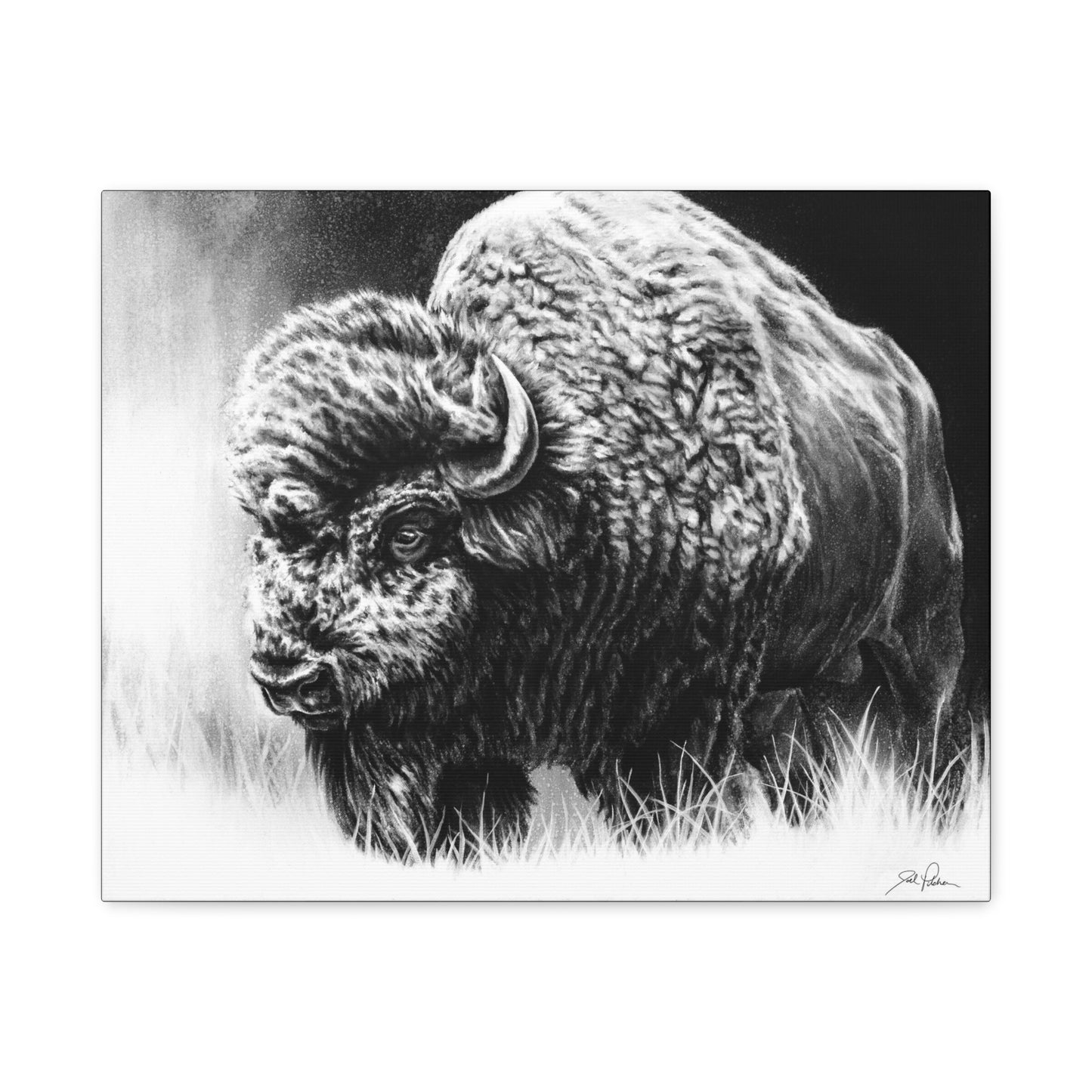 "Bull Dozer" Stretched Canvas