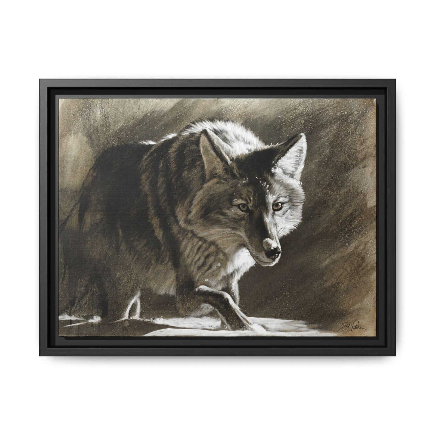"Coyote" Framed Canvas