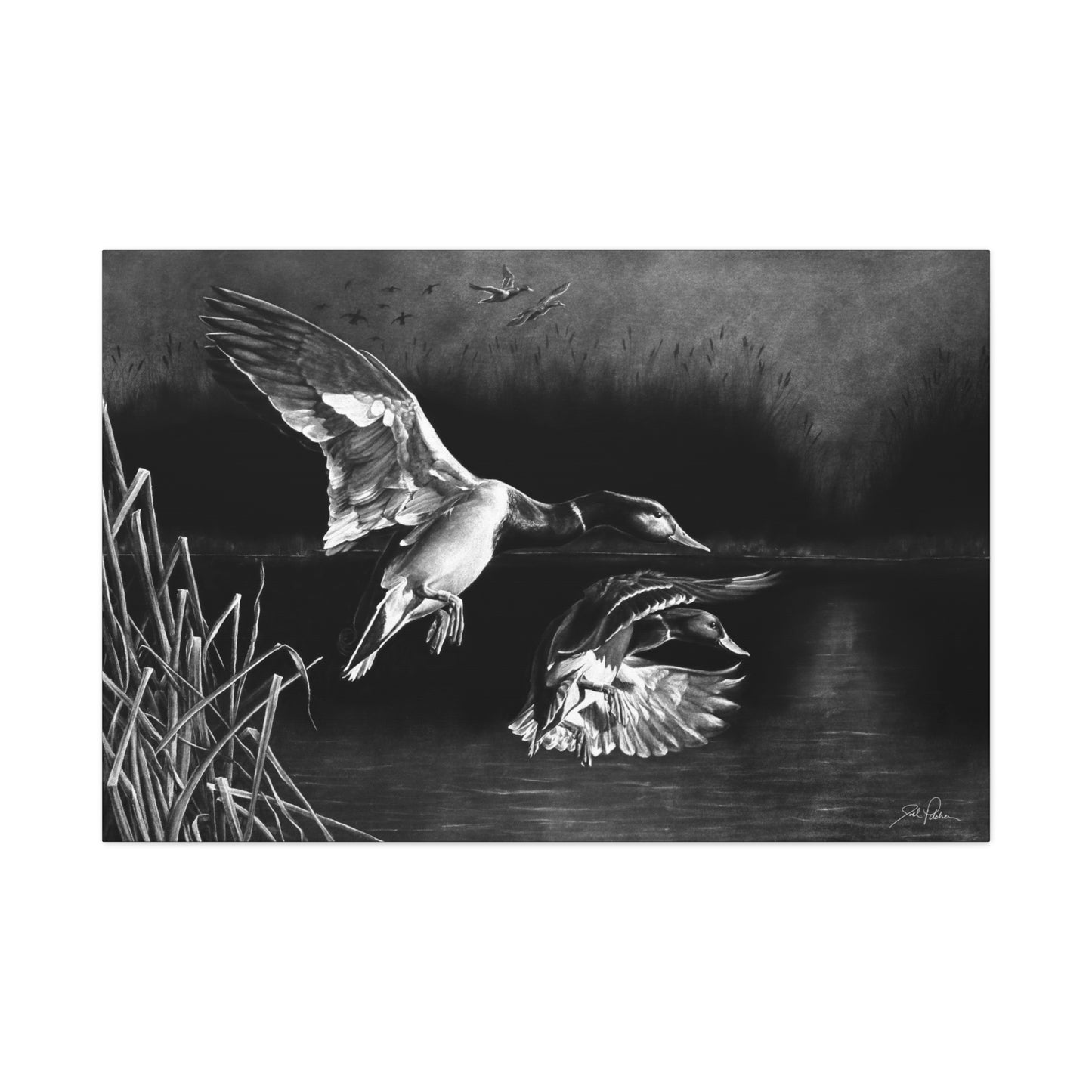 "Banded Brothers" Stretched Canvas