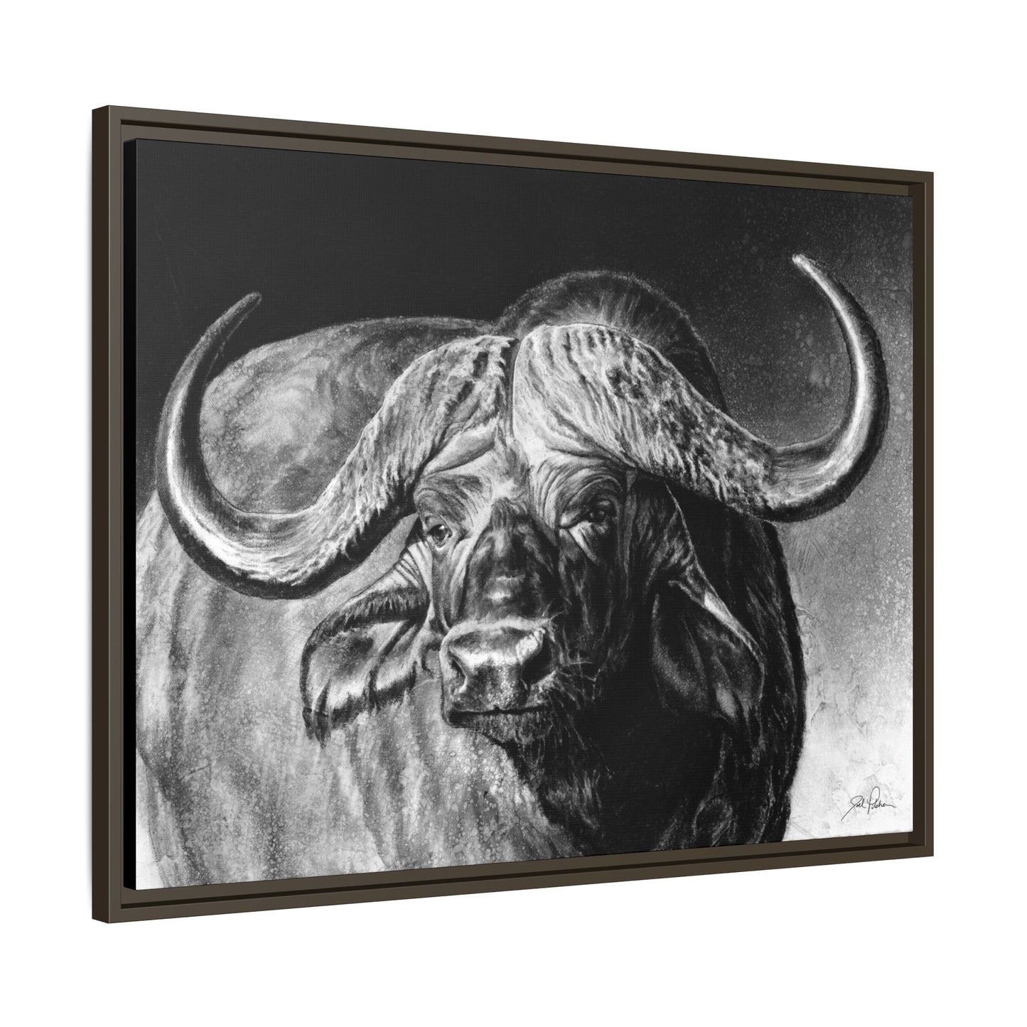 "Cape Buffalo" Framed Canvas