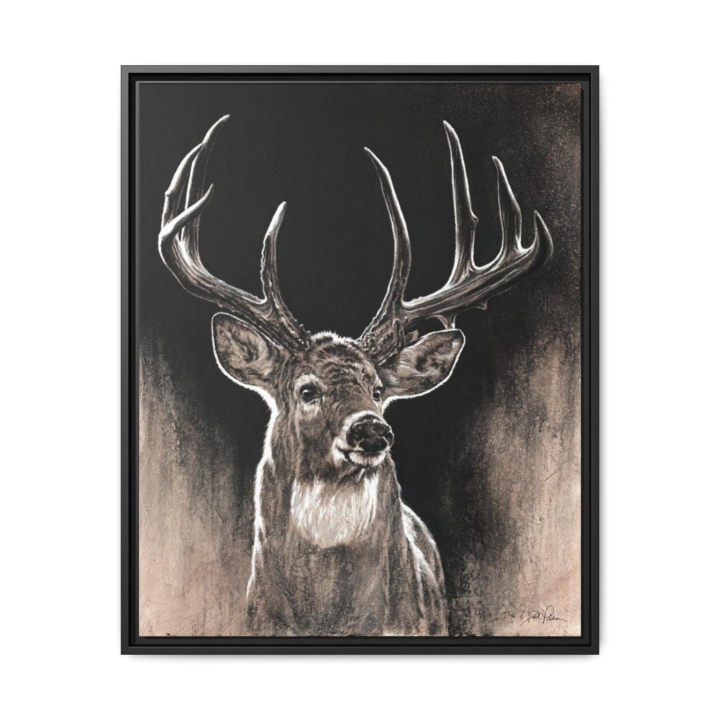 "Backlit Buck" Framed Canvas
