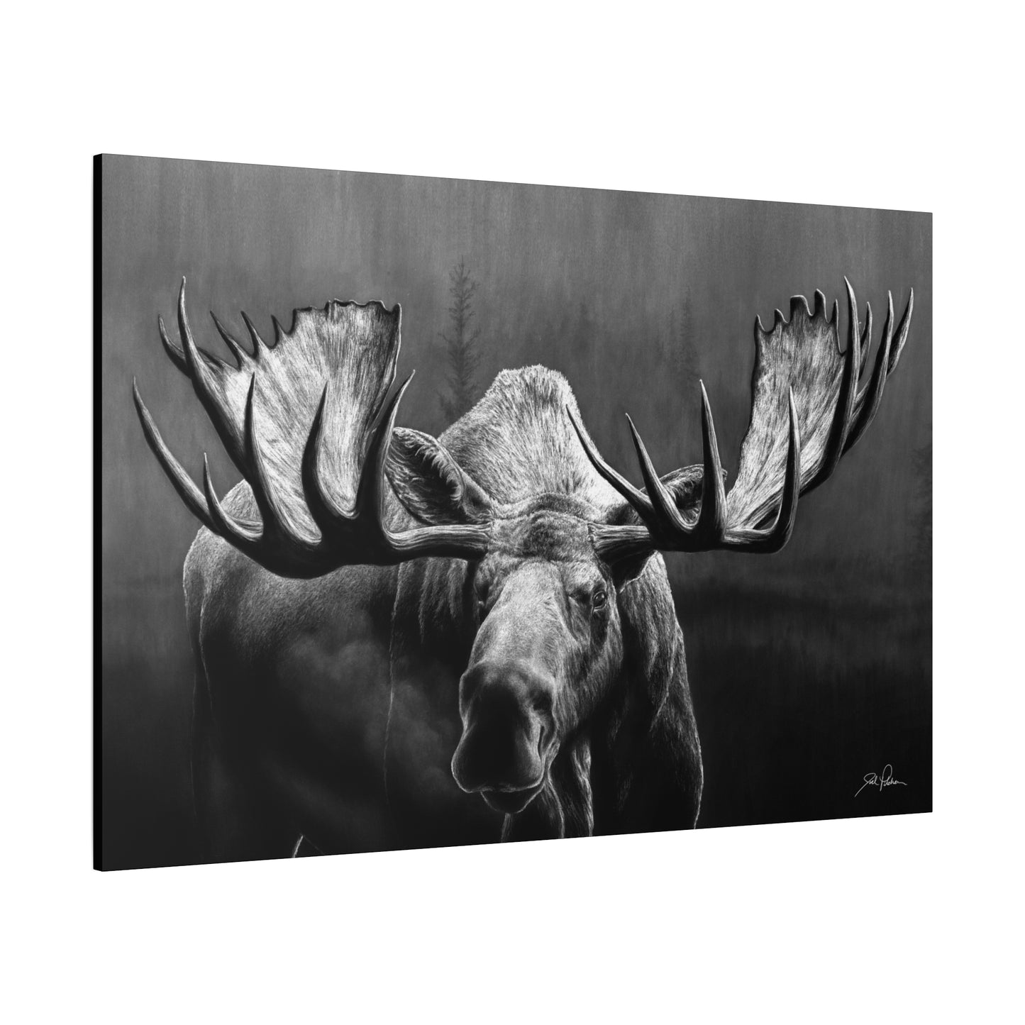 "Wide Load" Stretched Canvas