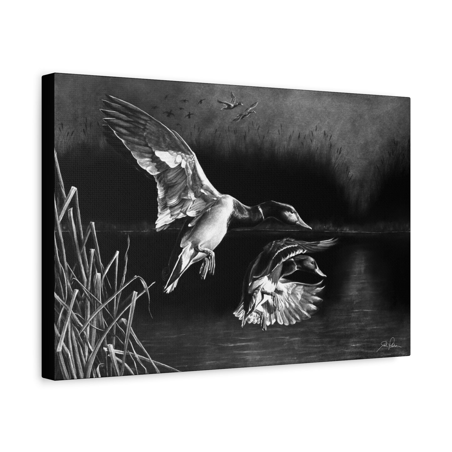 "Banded Brothers" Stretched Canvas