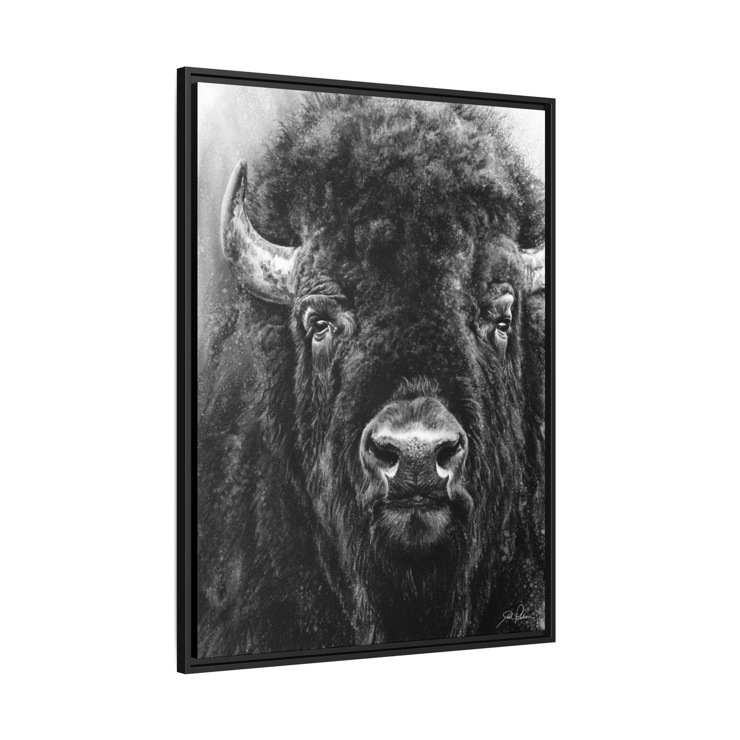 "Tatanka" Framed Canvas