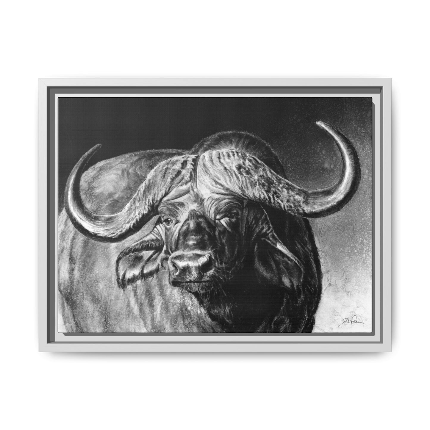 "Cape Buffalo" Framed Canvas