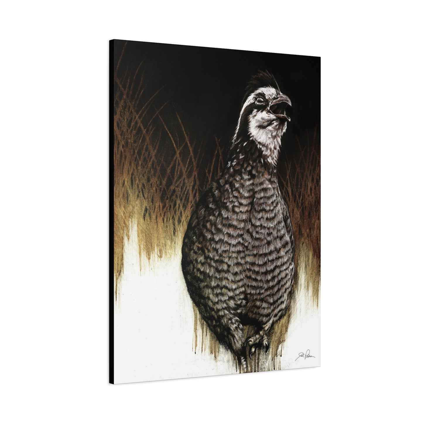"Call of the Upland Quail" Stretched Canvas