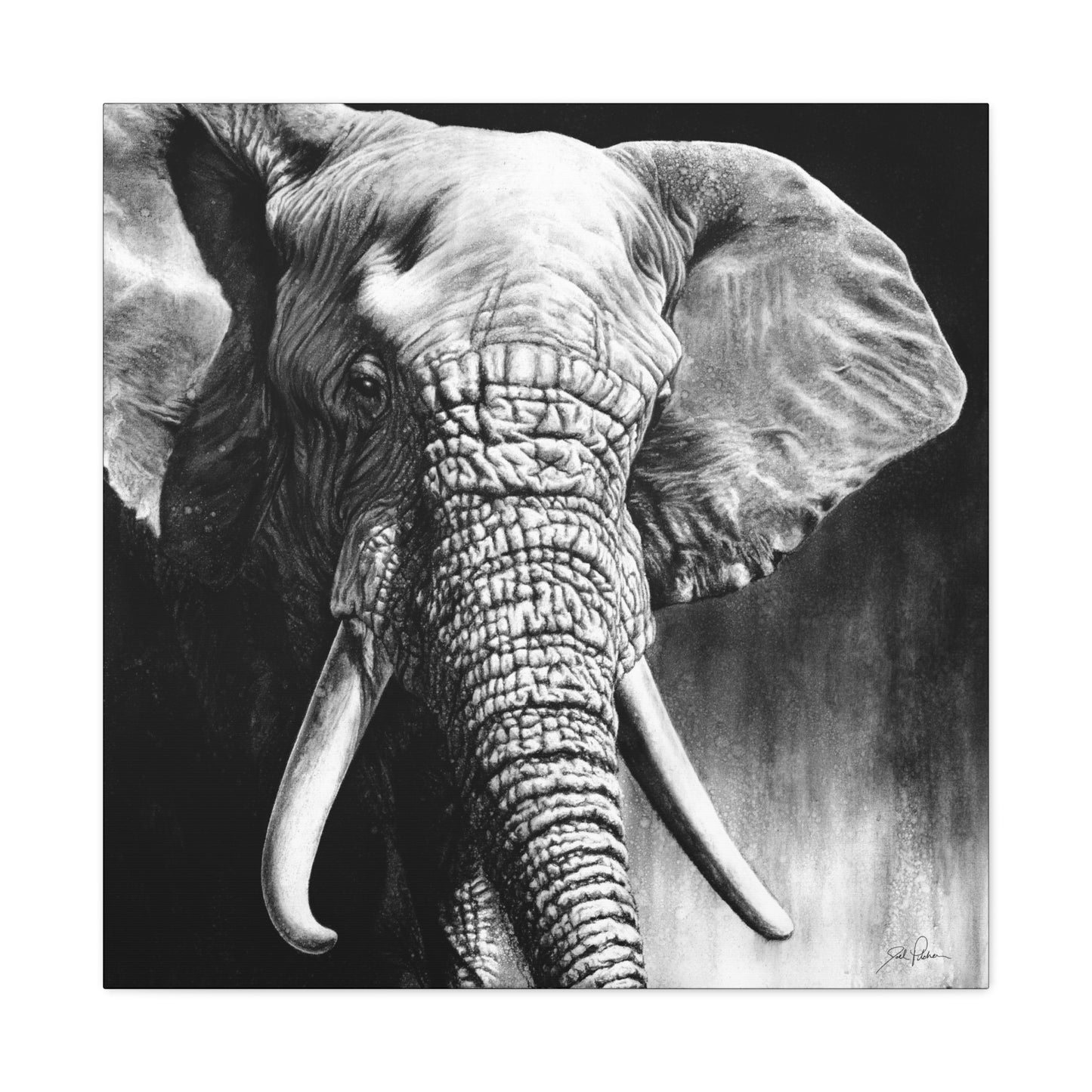 "High & Mighty" Stretched Canvas