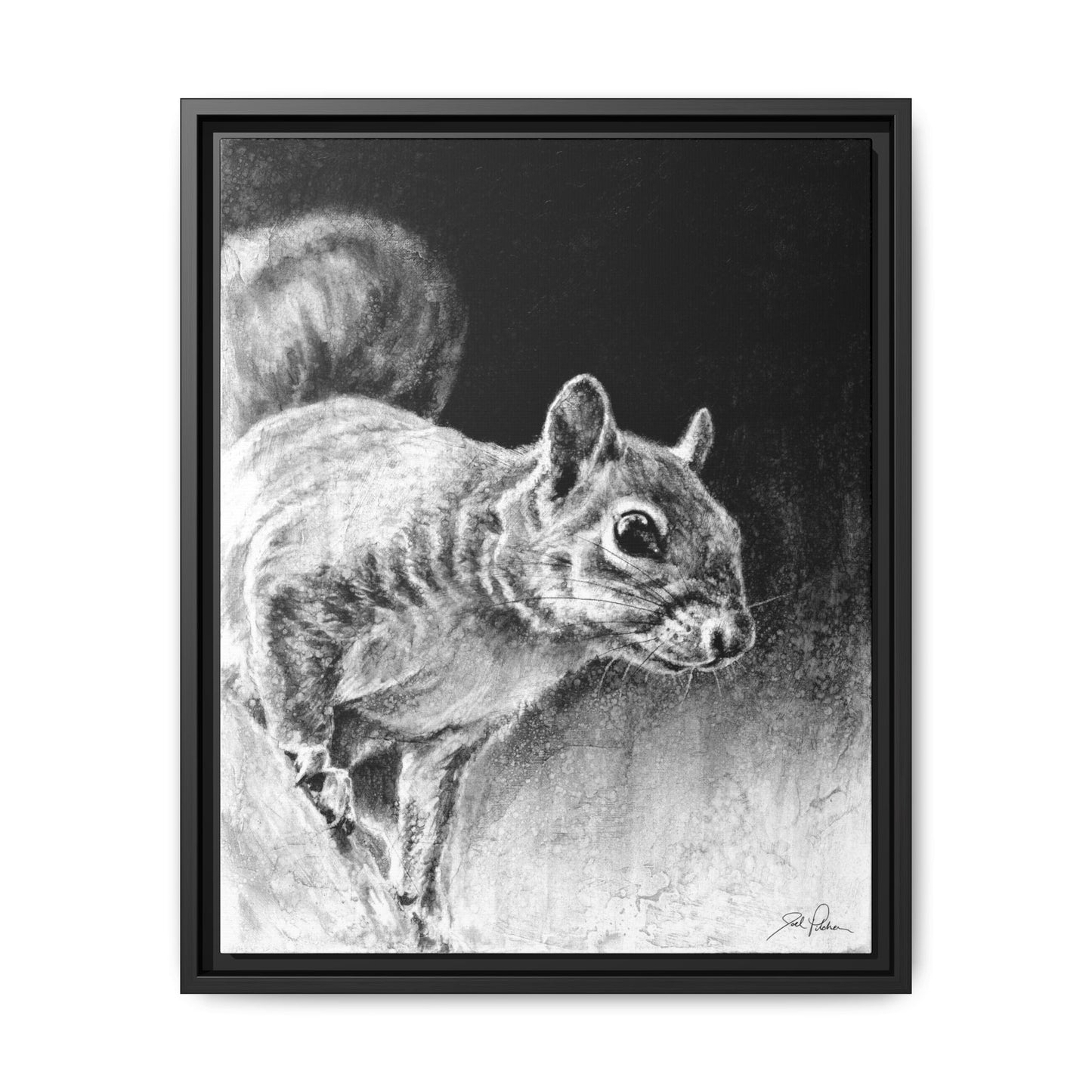 "Squirrel" Framed Canvas