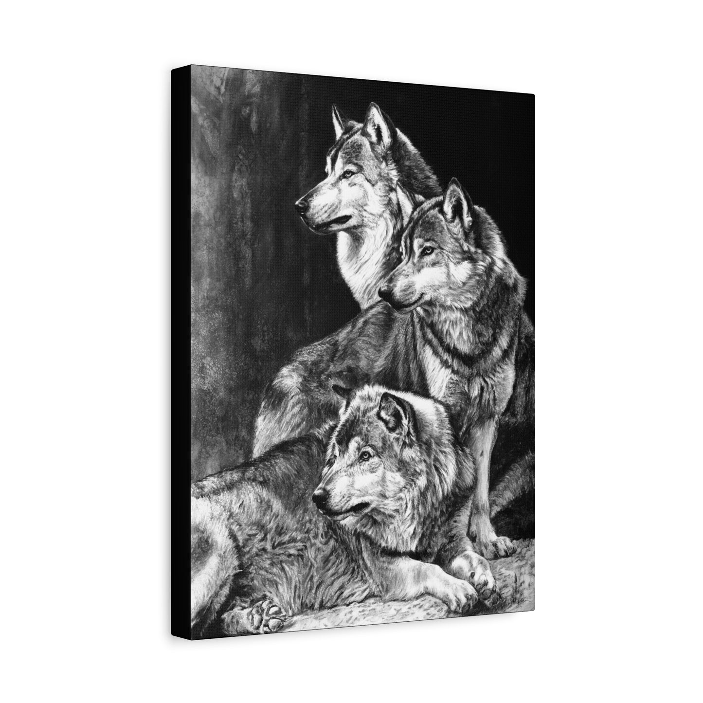 "Sentinels" Stretched Canvas