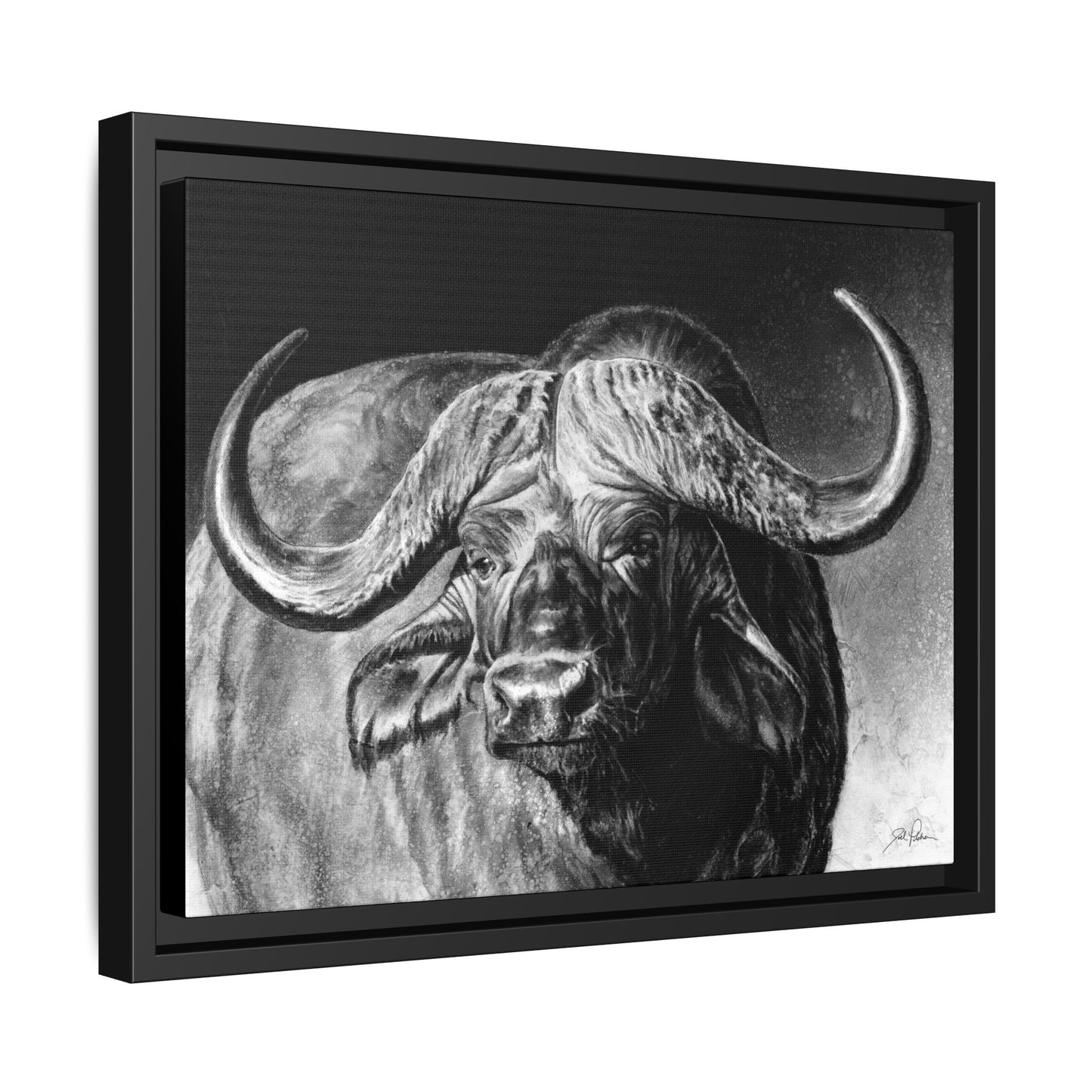 "Cape Buffalo" Framed Canvas