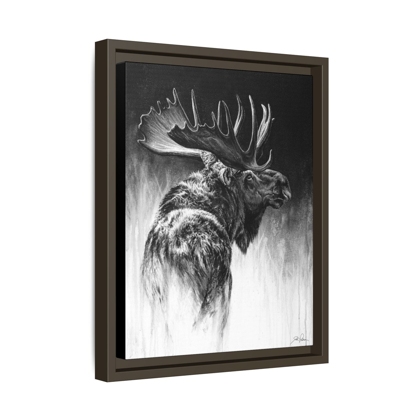 "Bull Moose" Framed Canvas