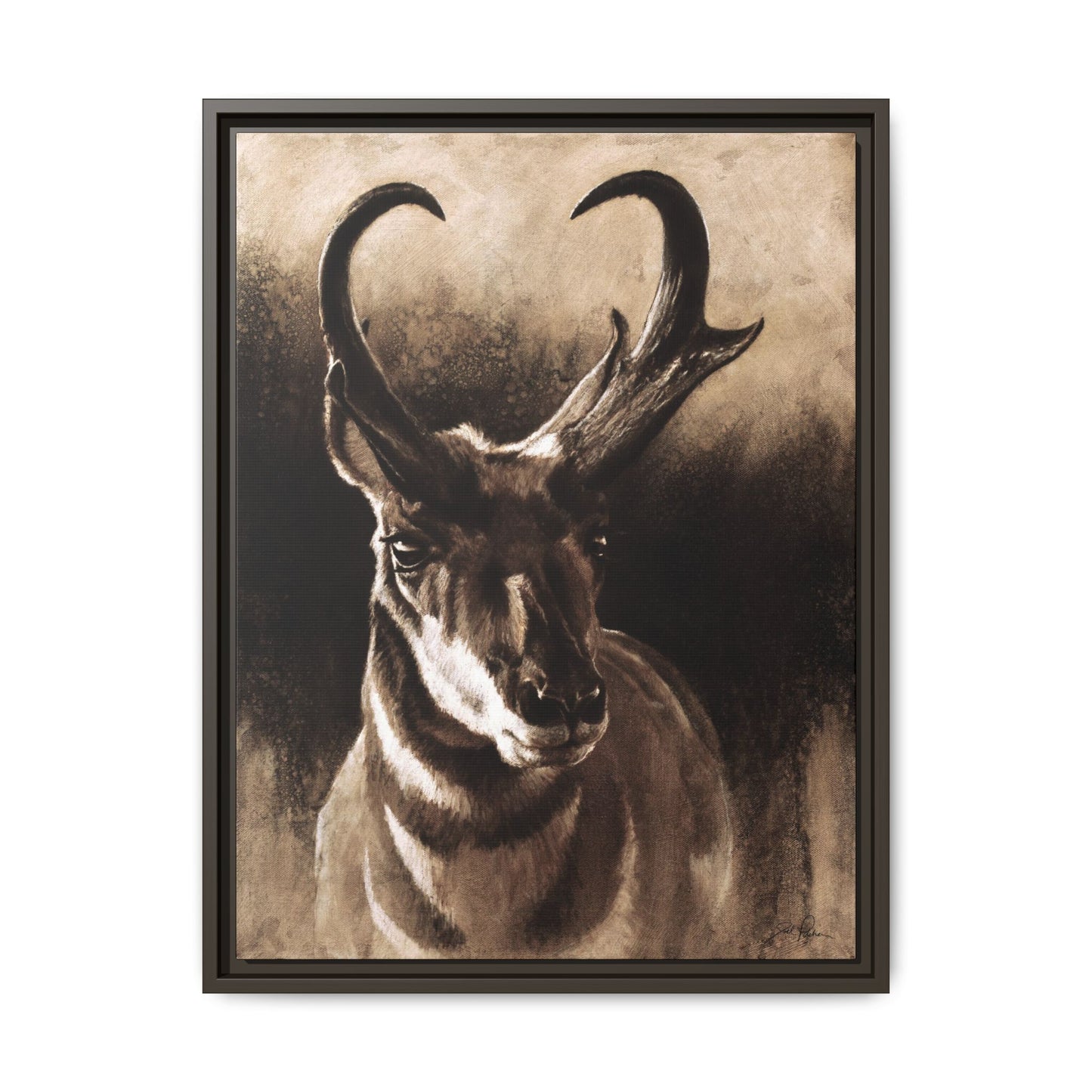 "Pronghorn" Framed Canvas