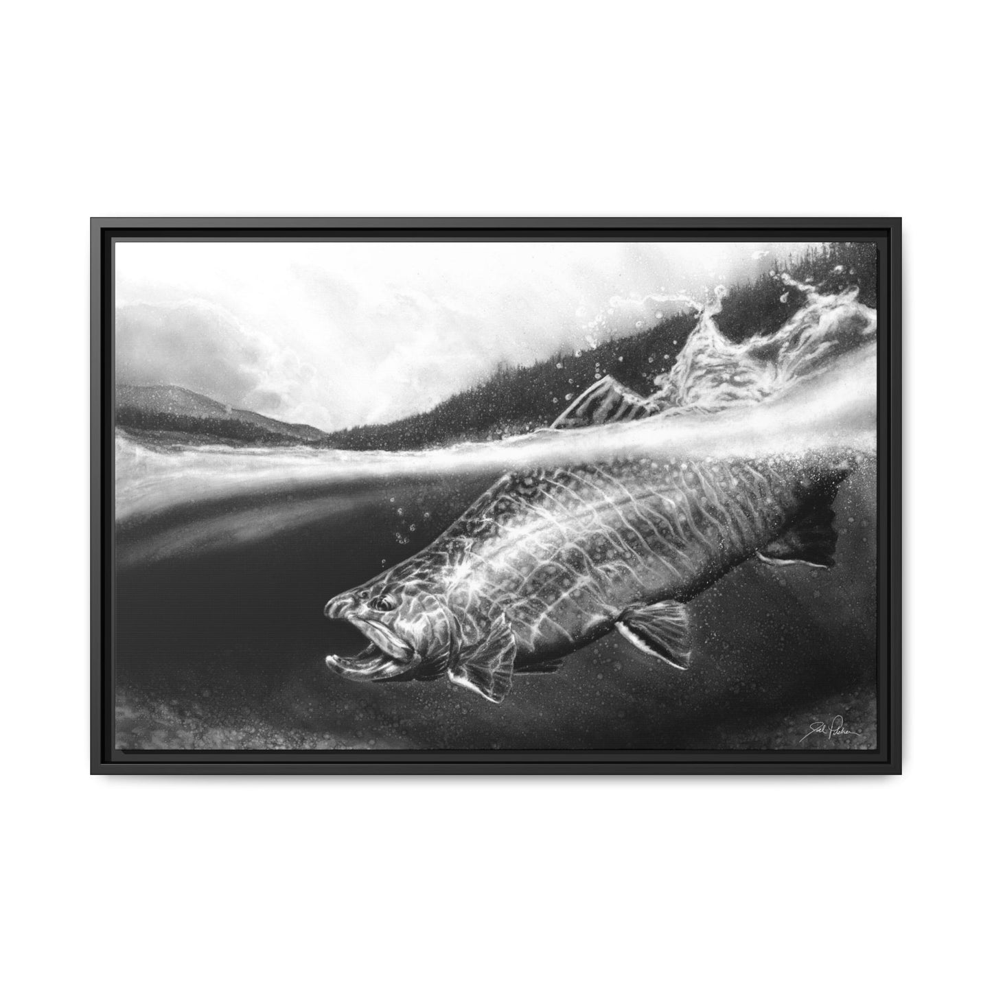 "Brook Trout" Framed Canvas