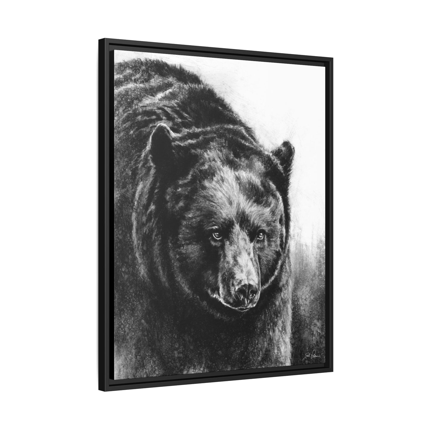 "Black Bear" Framed Canvas