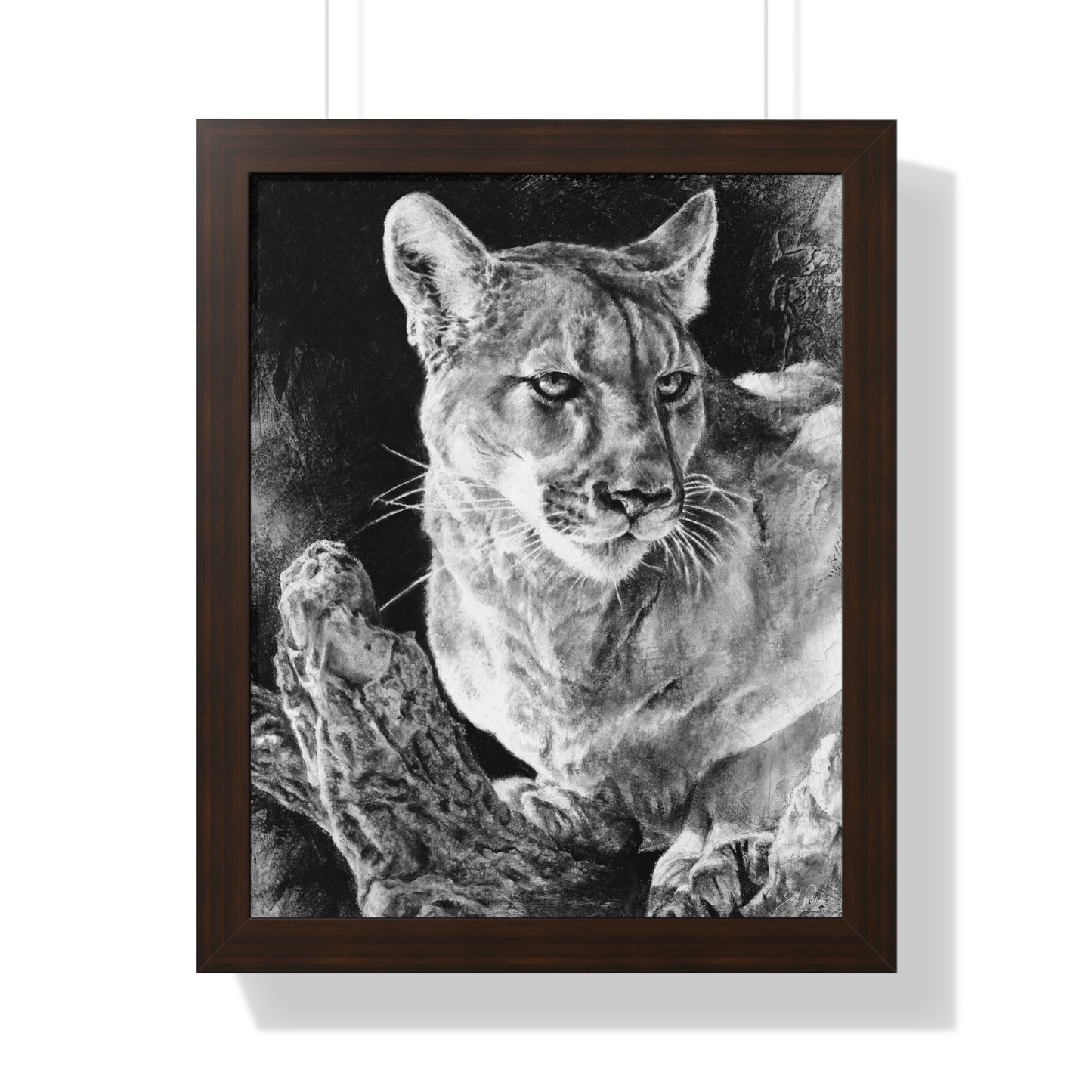 "Mountain Lion" Framed Paper Print