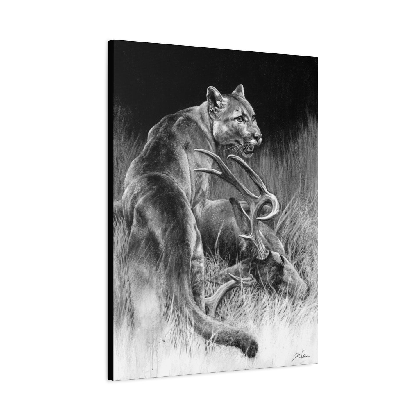 "Food Chain" Stretched Canvas
