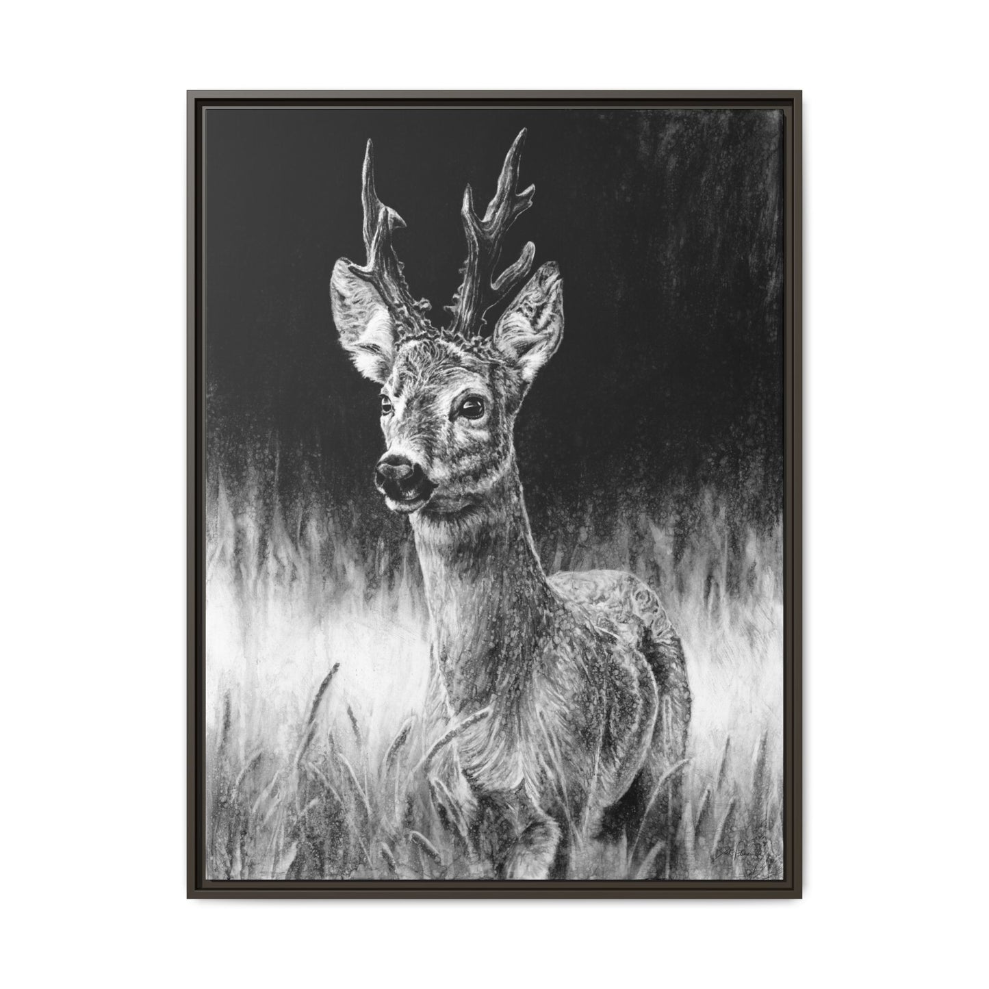 "Roe Deer" Framed Canvas