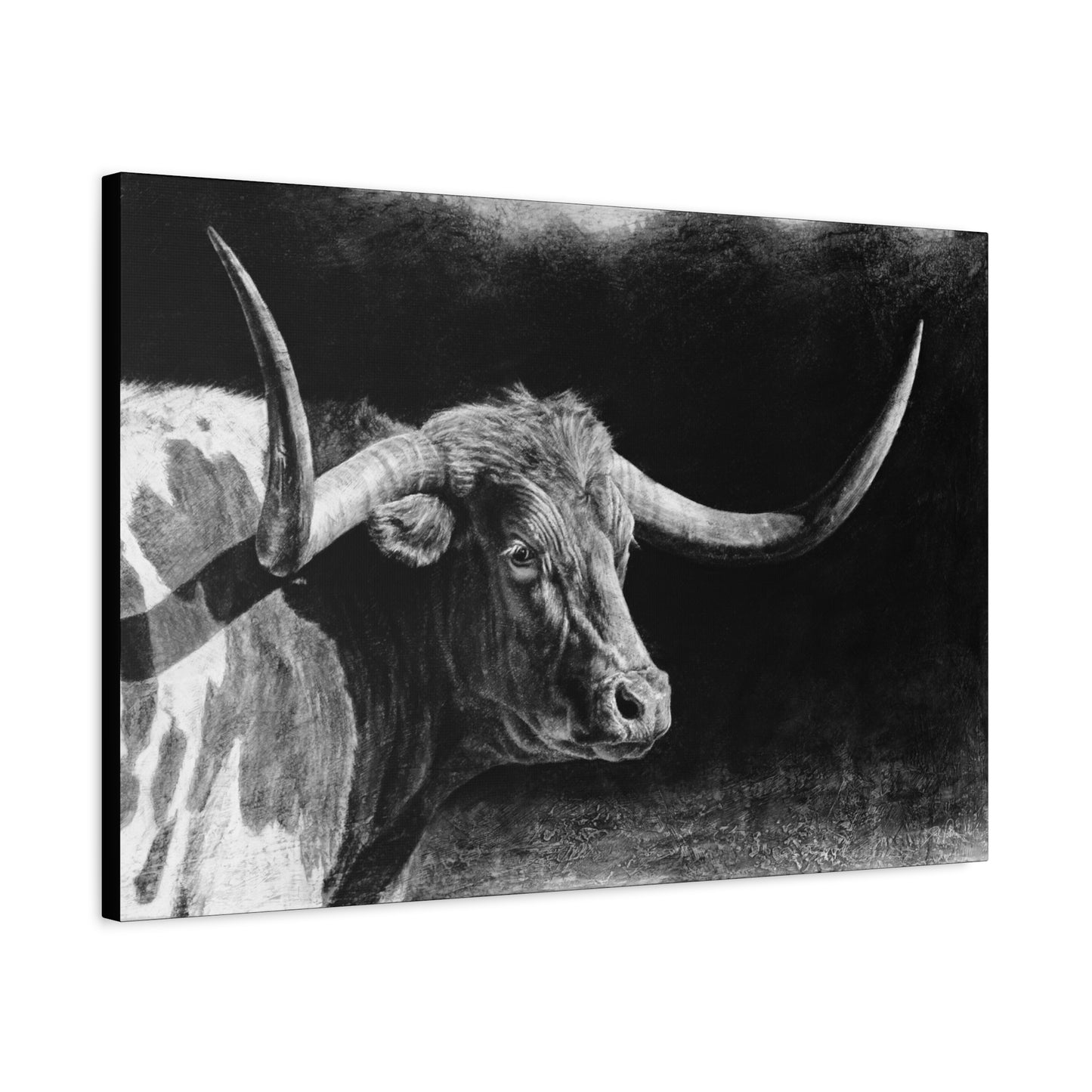 "Longhorn II" Stretched Canvas