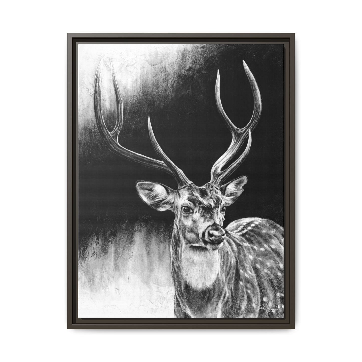 "Axis Buck" Framed Canvas