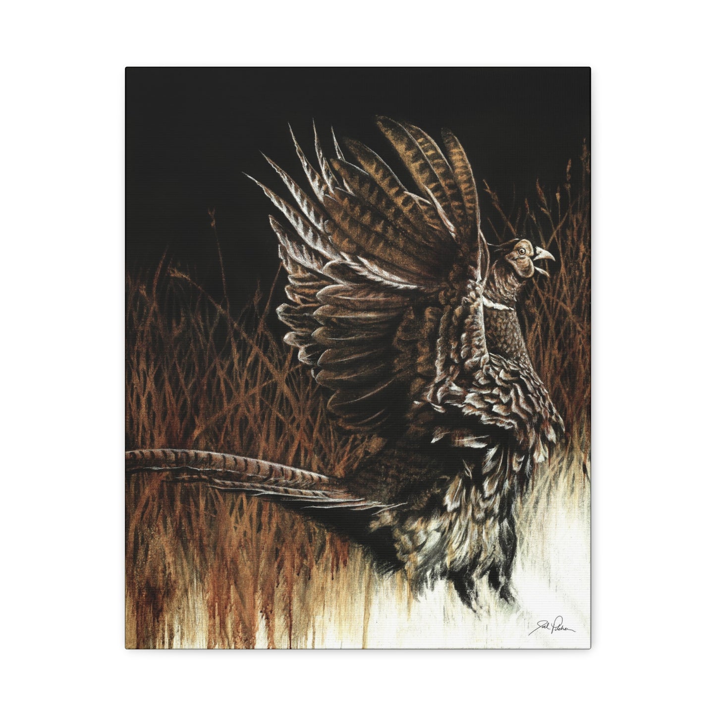 "Call of the Upland Pheasant" Stretched Canvas
