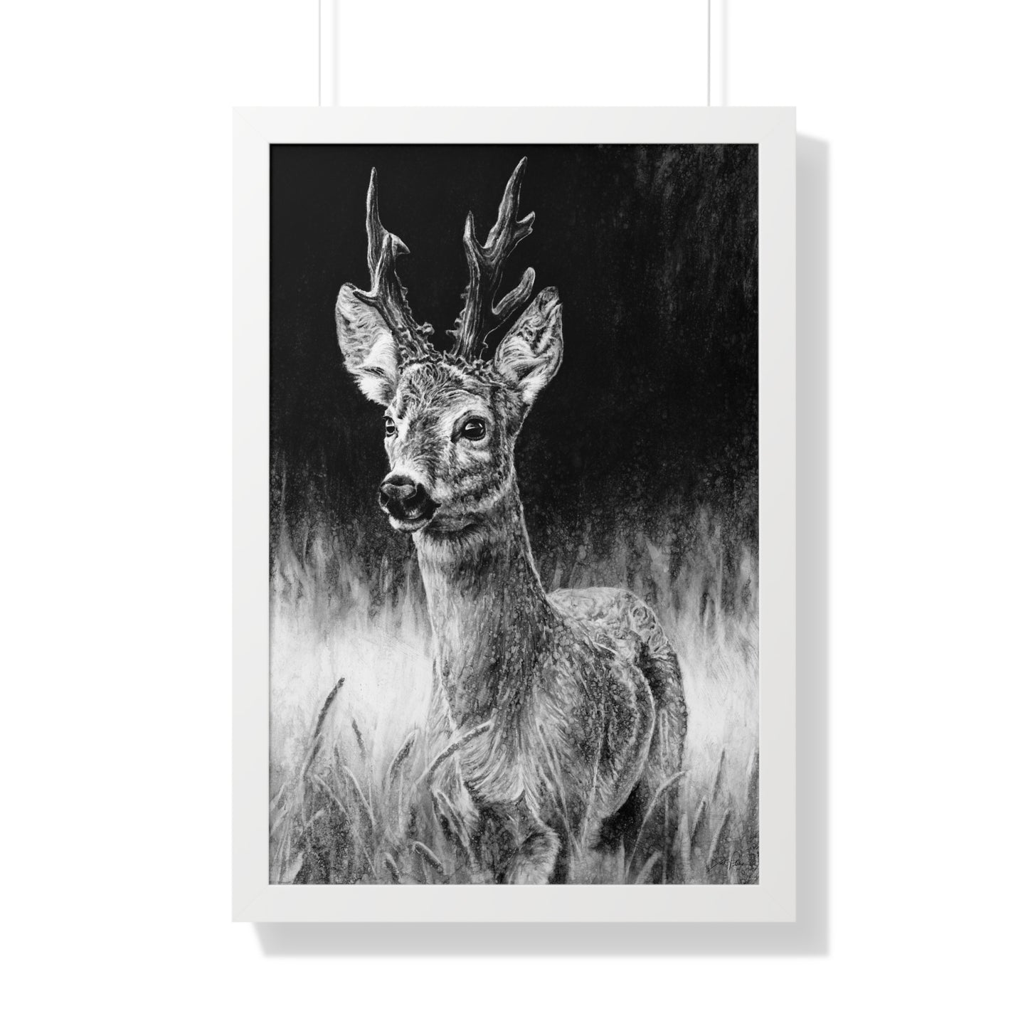 "Roe Deer" Framed Paper Print.