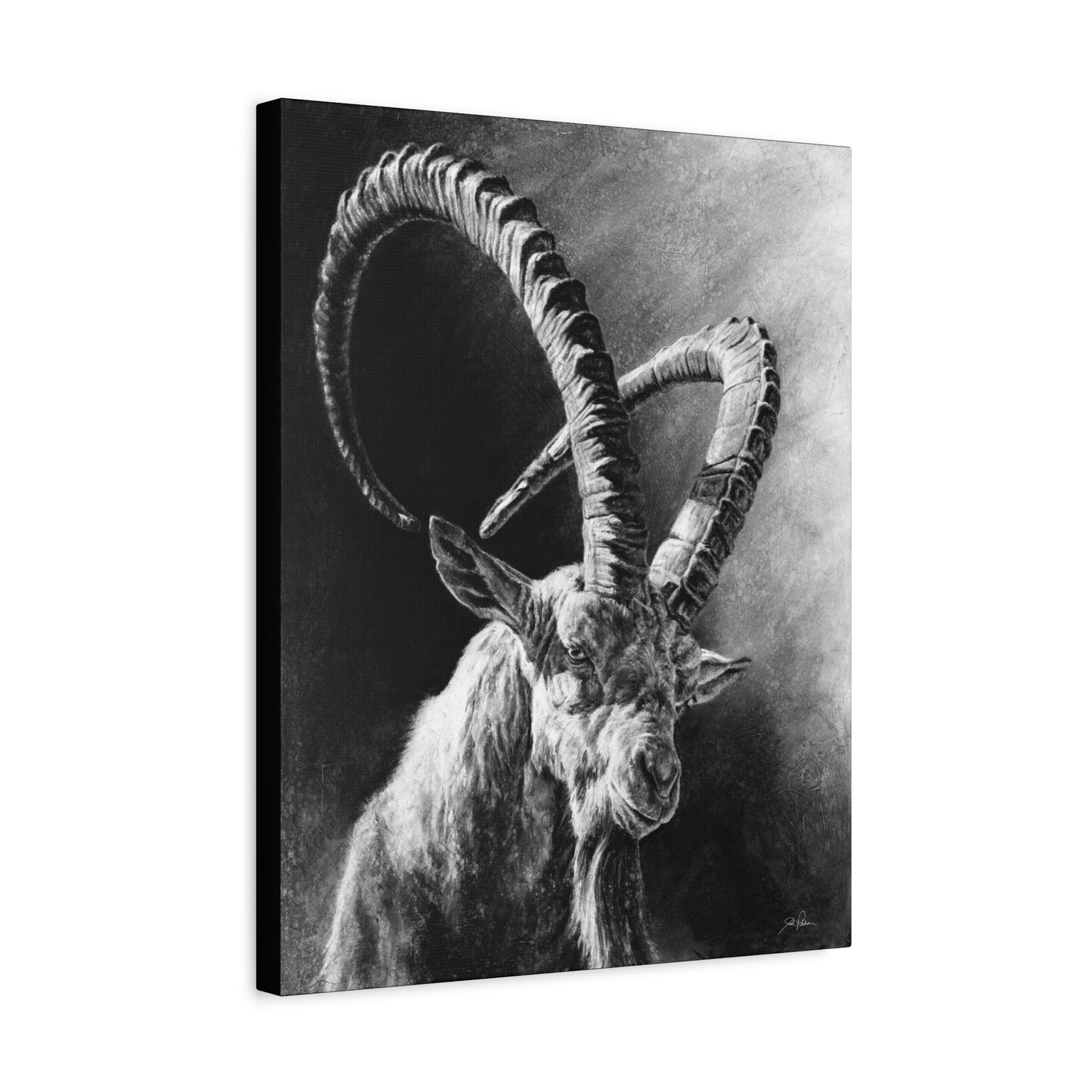 "Ibex" Stretched Canvas