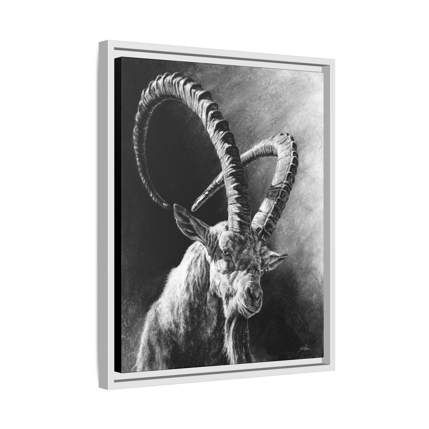 "Ibex" Framed Canvas