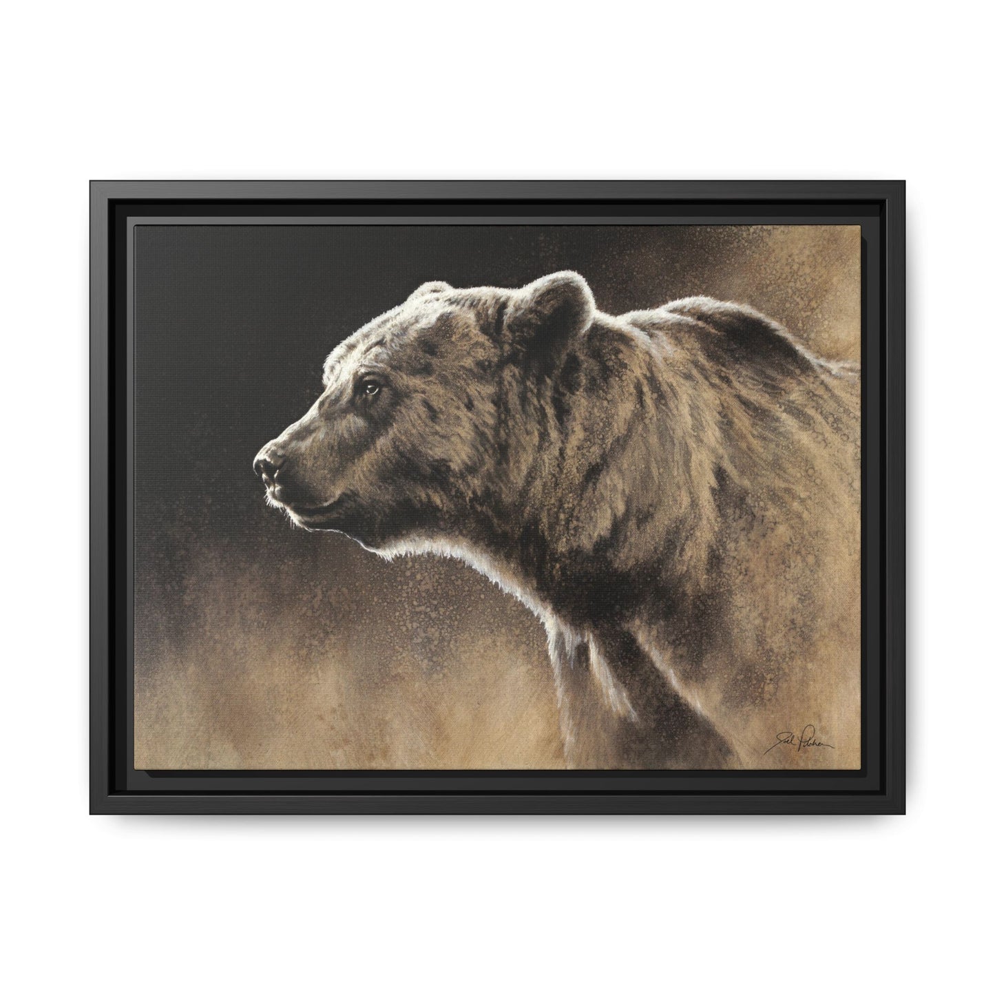 "Grizzly" Framed Canvas