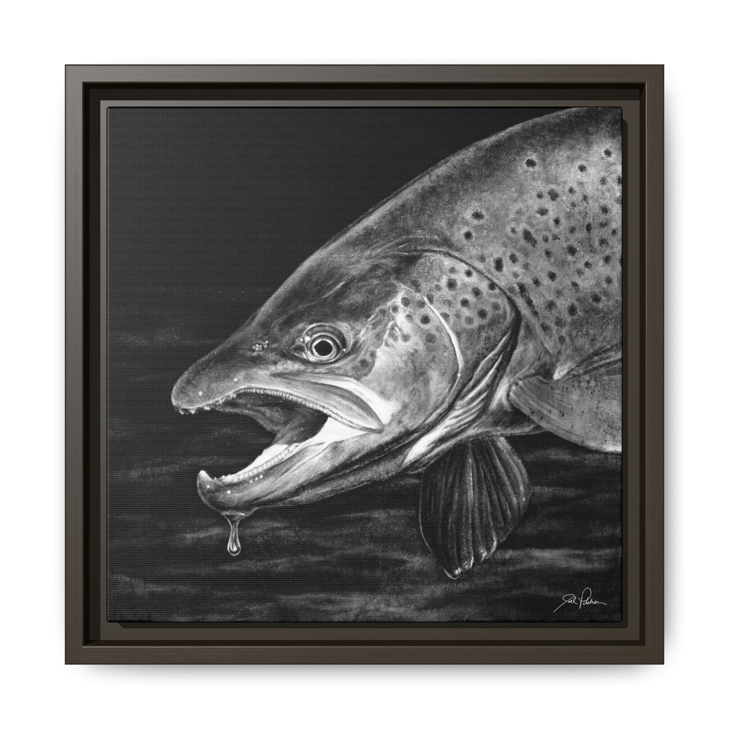 "Brown Trout" Framed Canvas